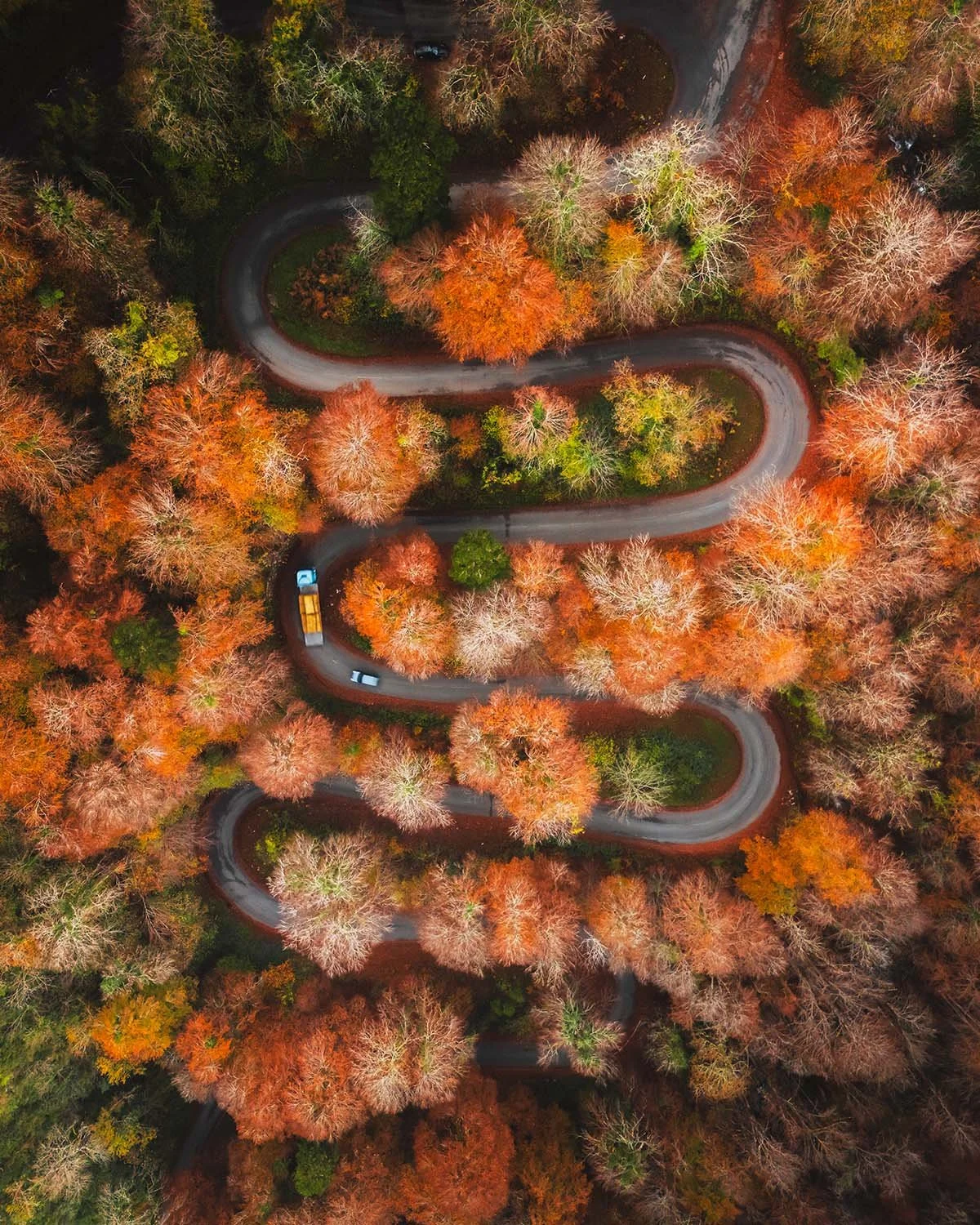 Vue aérienne vertigineuse d'une route en lacets serpentant à travers les collines verdoyantes du Pays Basque. Photographie de paysage par Dimitri Weber.