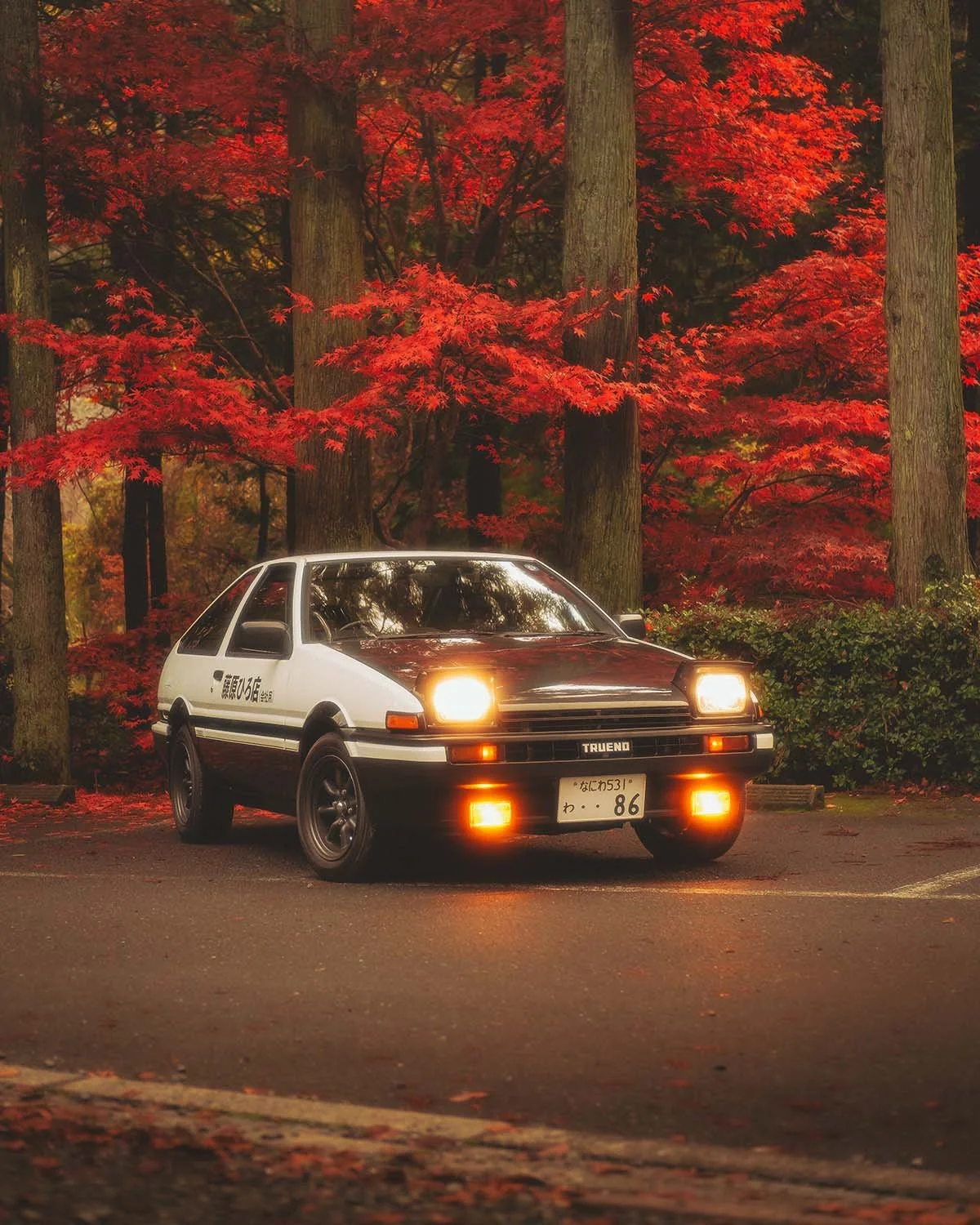 Voiture japonaise culte Toyota Sprinter Trueno AE86 Hachiroku Panda Initial D Fujiwara Tofu Shop. JDM car culture route montagne automne forêt rouge momiji passion automobile vintage youngtimer.