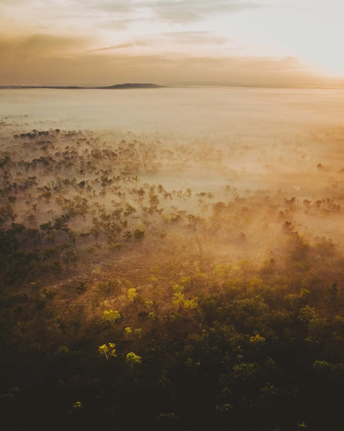 Mystère matinal. Le paysage s'éveille doucement sous une couverture de brume dorée.