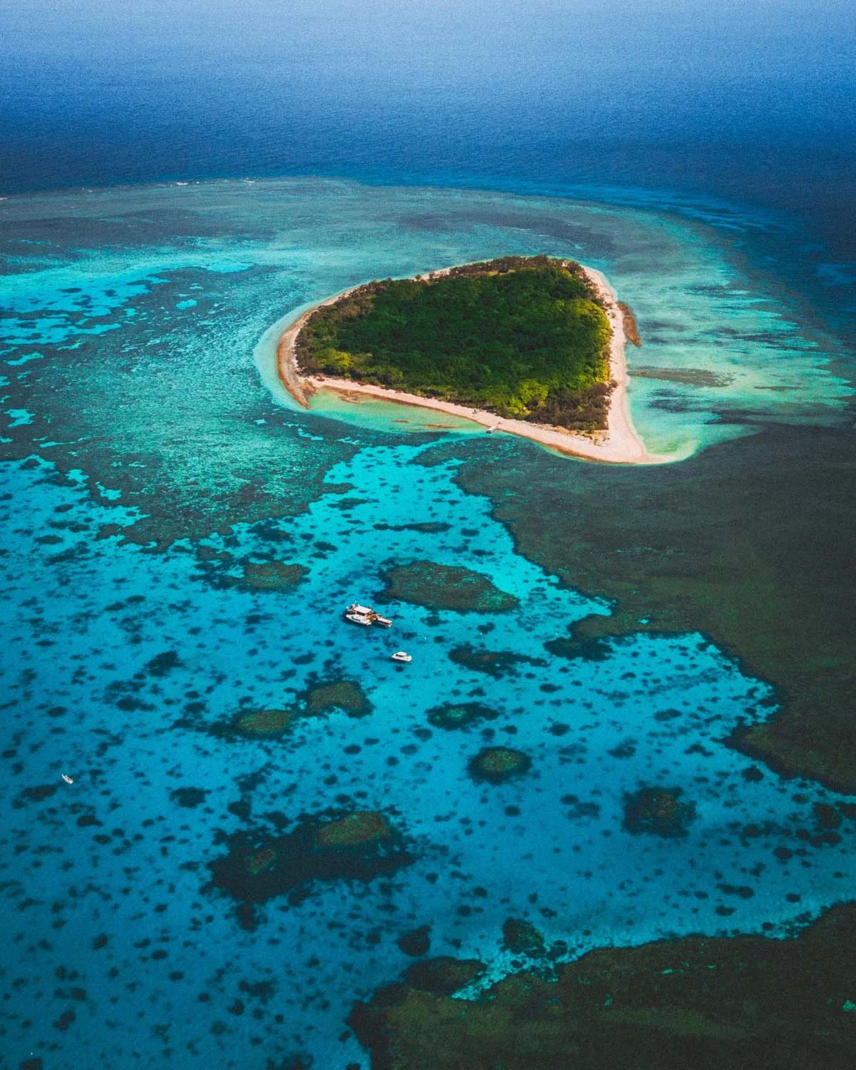 Un confetti de jungle posé sur la Grande Barrière. L'isolement insulaire vu du ciel.