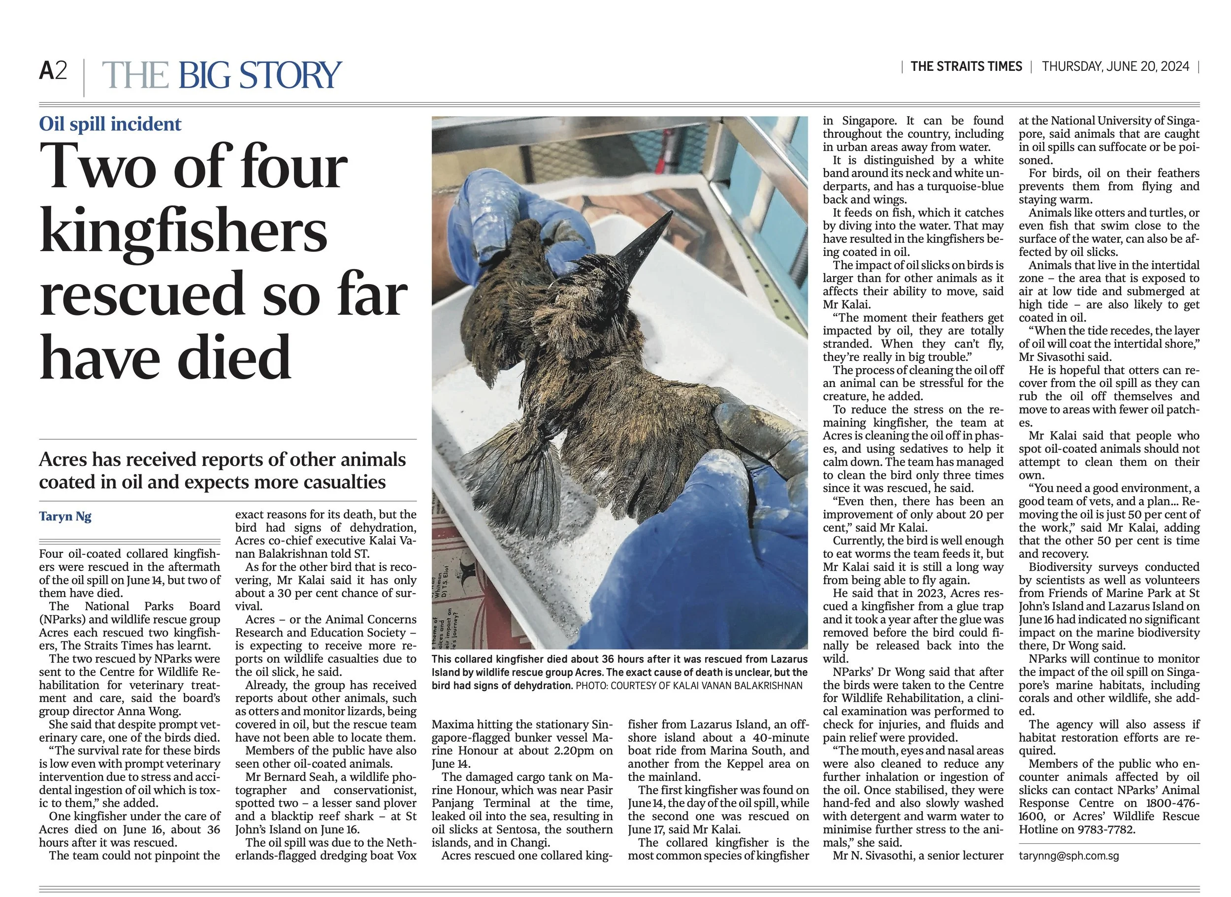 kingfisher oil spill.jpg