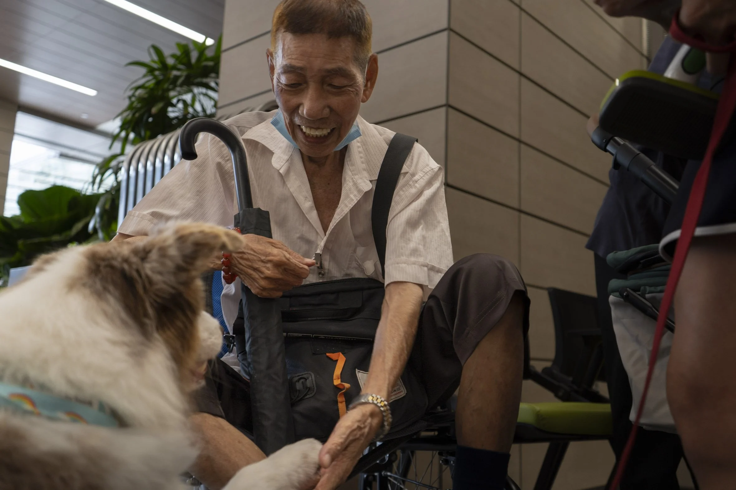 pet_therapy-3.jpg