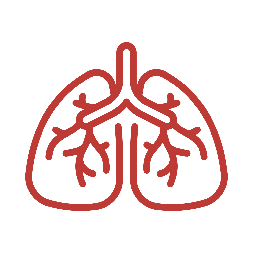 Line drawing of human lungs with bronchial tubes on black background.