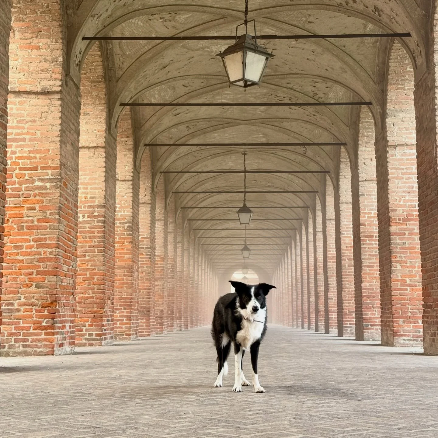 In the center of Sabbioneta a tiny town in Italy is an art gallery on the top floor of &ldquo;Corridor Grande&rdquo; which waking up to thick fog I shot down there to get some photos in the interesting light. 

I couldn&rsquo;t decide on a favourite 