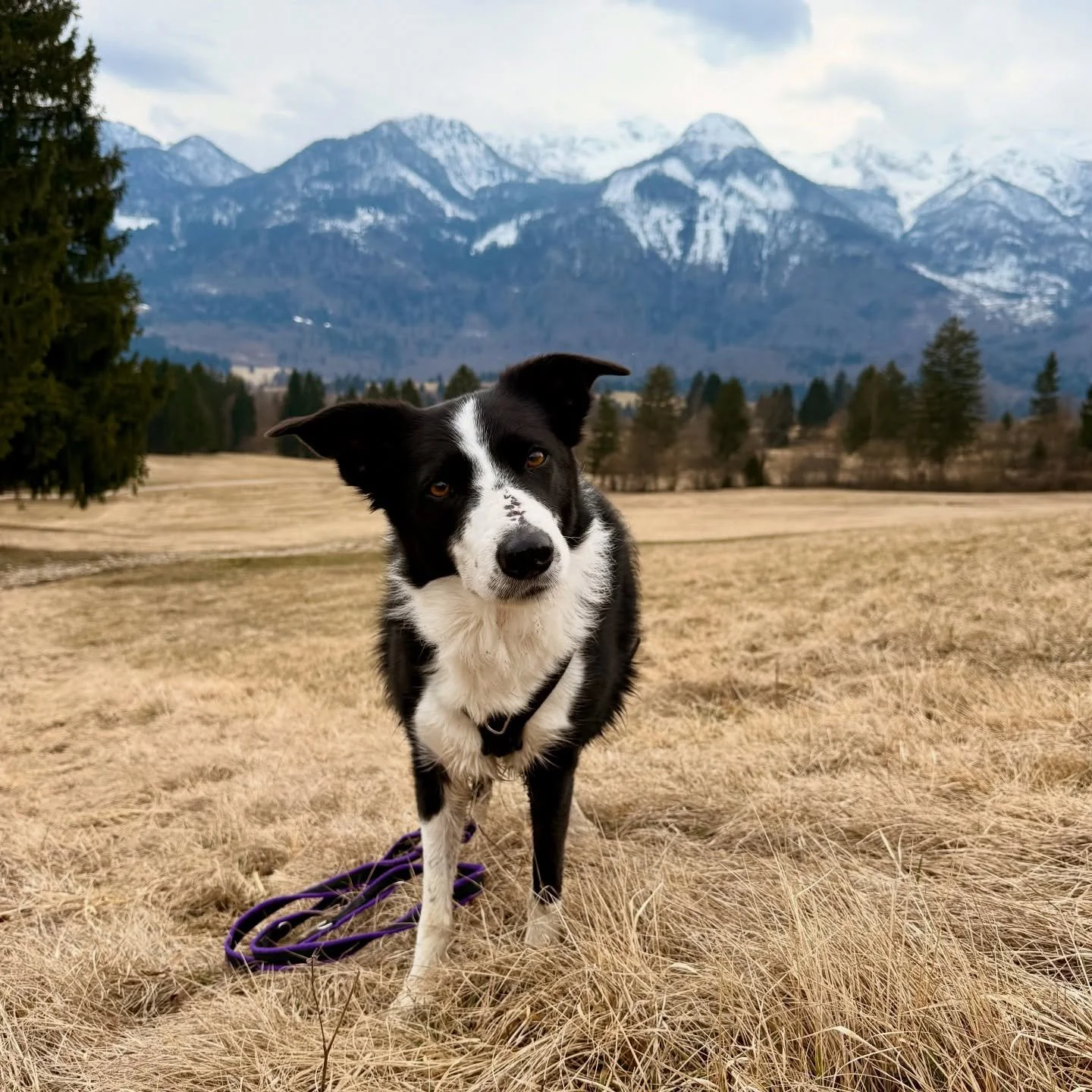 I spent two days in an abandoned off season campsite in Triglav National Park, getting in some miles walking around the valley and admiring snow capped the mountains in the distance. 
The photos just don&rsquo;t do it justice! I&rsquo;ll definitely b