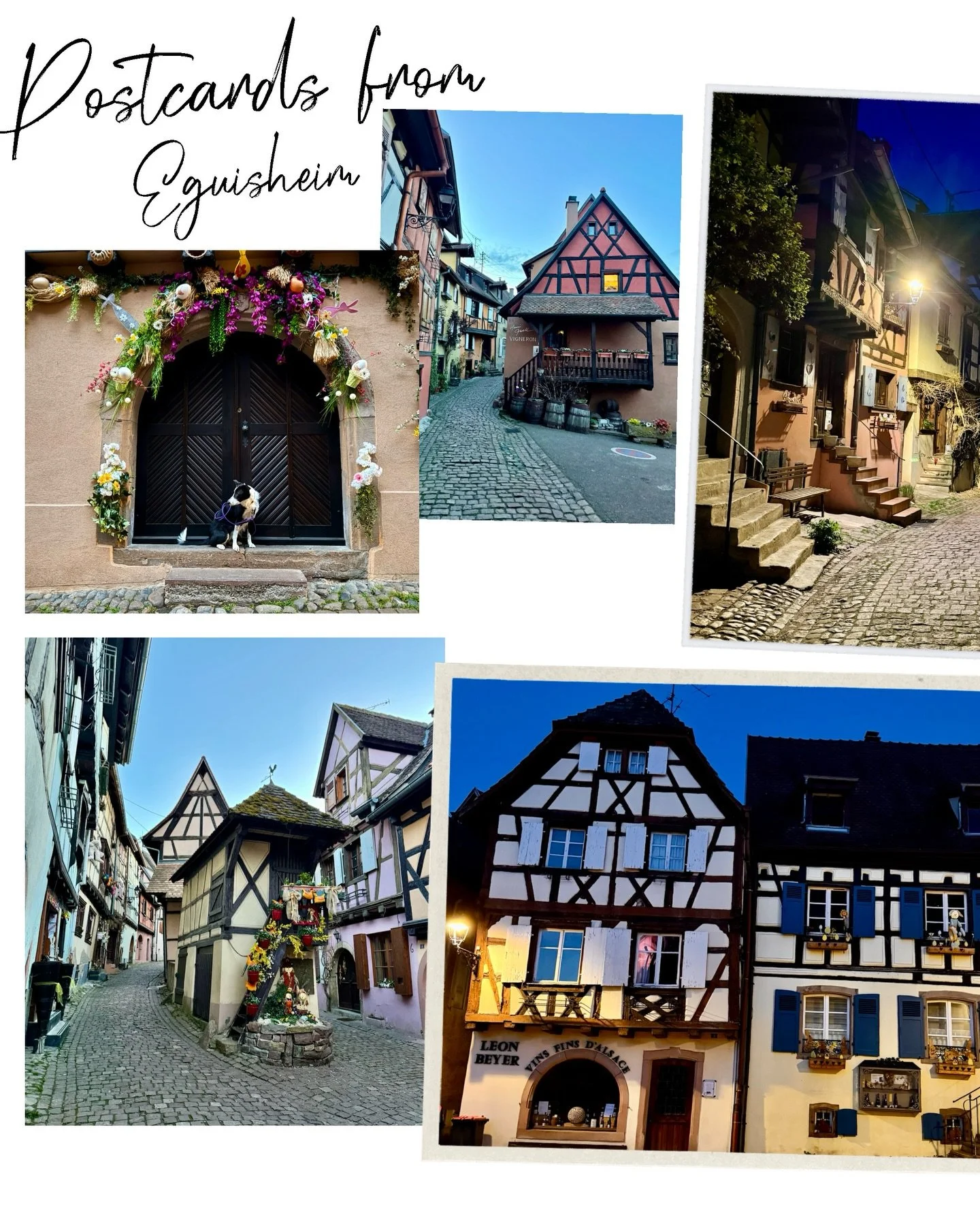 My first stop in Alsace was Eguisheim and wow what an amazingly stunning tiny town! 
Walking from the motorhome aire on the edge of the town after work the town transformed as it moved from daylight to dark. 

#eguisheim #alsacefrance #eguisheimfranc