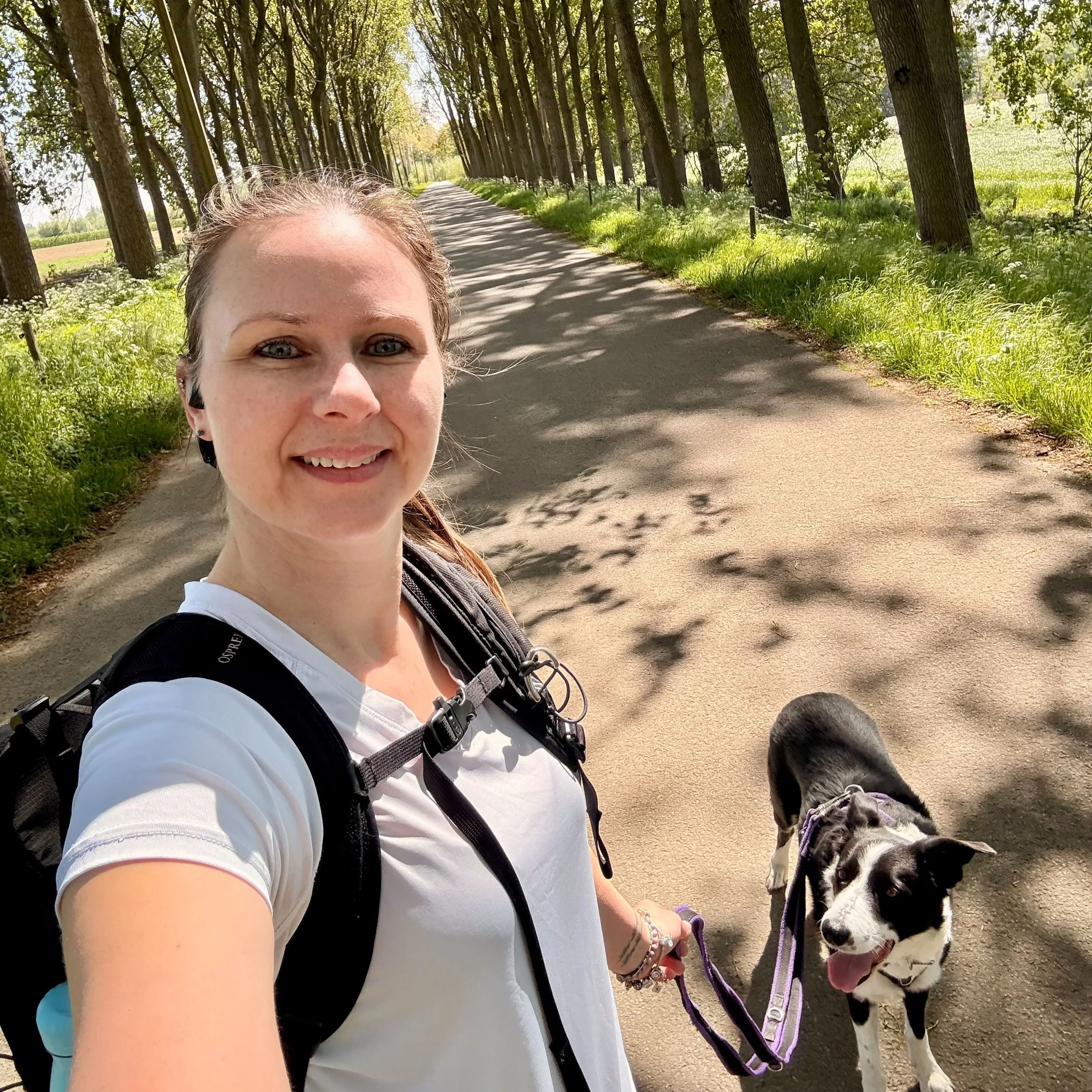 After finding out that some Dutch farmers use land in Belgium near the border to farm tulips, I found a small farm aire and set off to find them, it was a a gorgeous walk through the countryside on a sunny day. Unfortunately after a few weeks of very