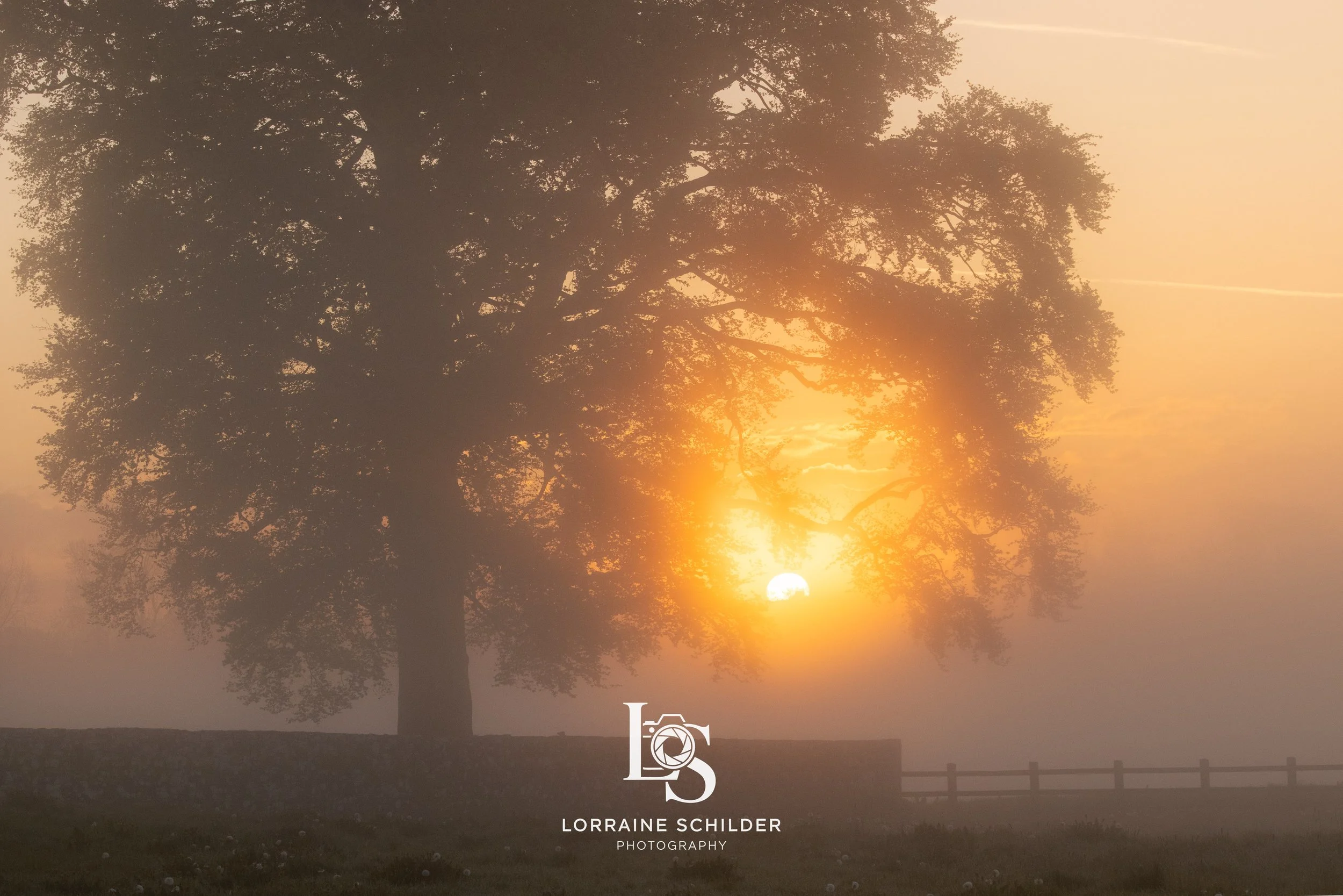 bective sun 2.jpg