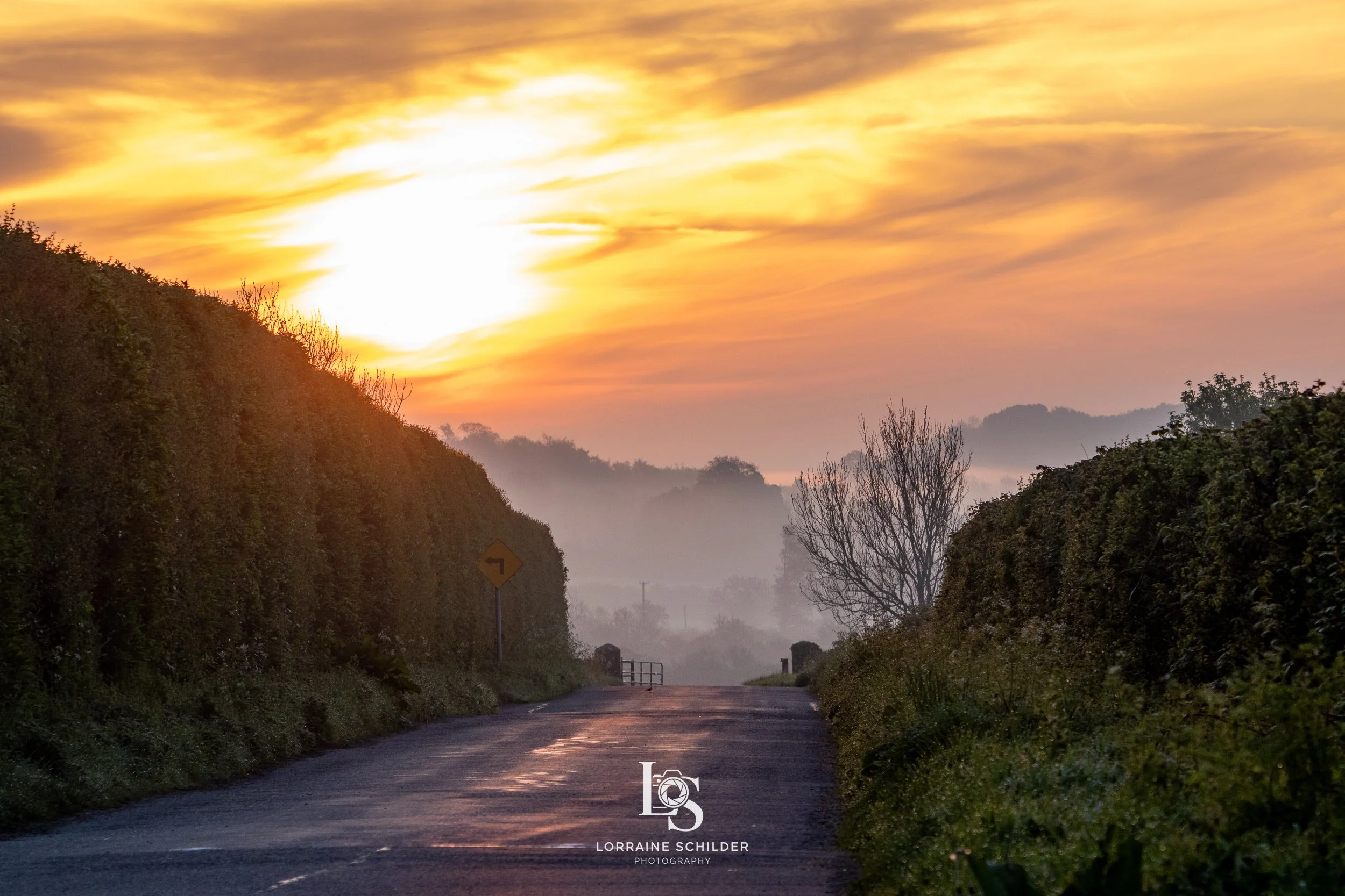 A rural road at sunrise with fields, trees, and a hazy sky.  Newgrange, Meath.
