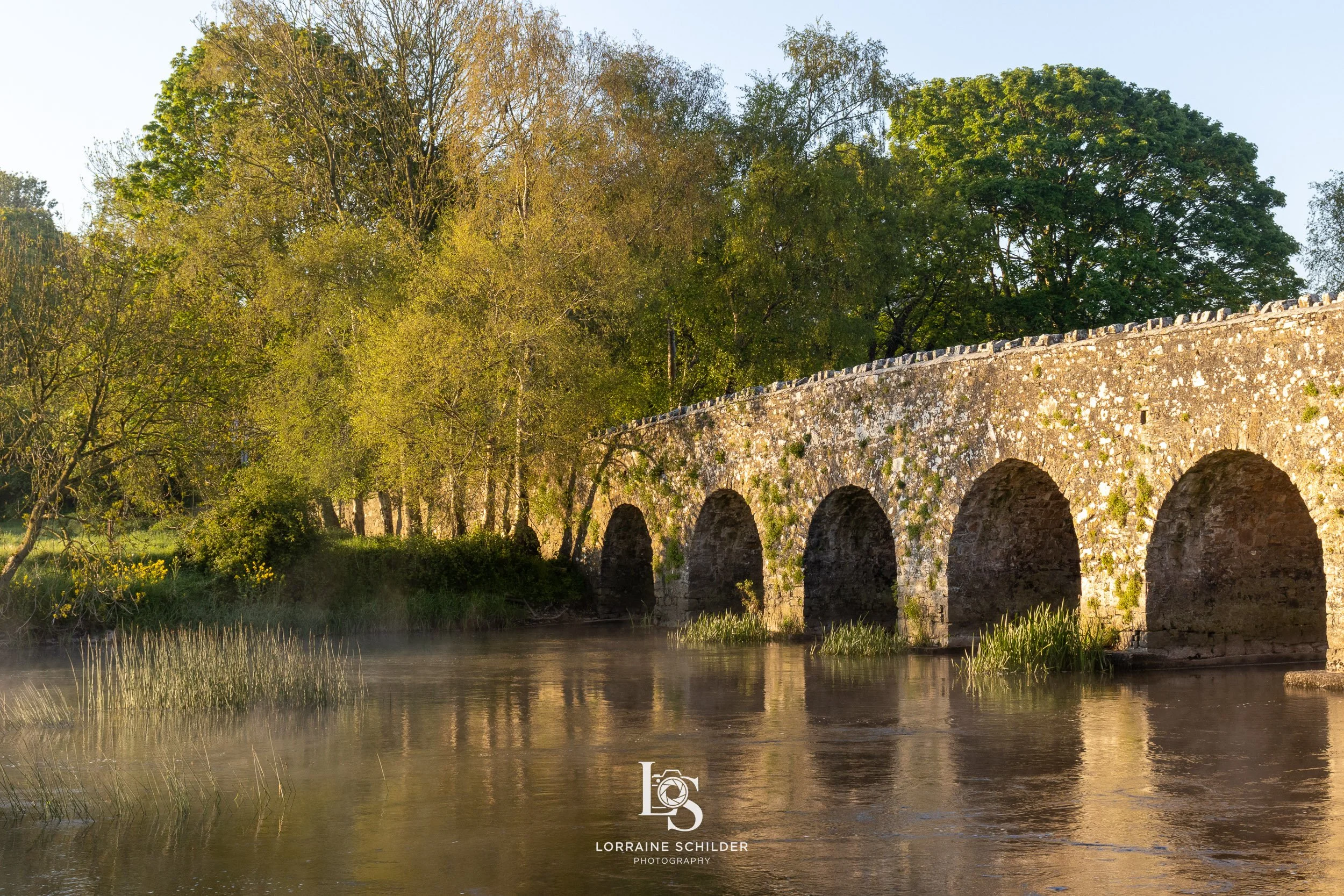 An old stone bridge with seven arches crossing a river, surrounded by lush green trees and grass, with mist rising from the water, illuminated by warm sunlight.  Bective Abbey, Meath.