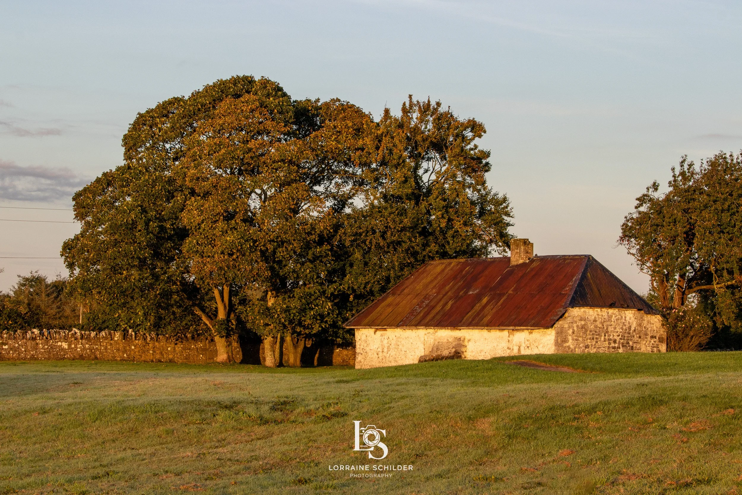 An old stone house with a rusted metal roof in a rural area, surrounded by green grass and large trees during sunrise.