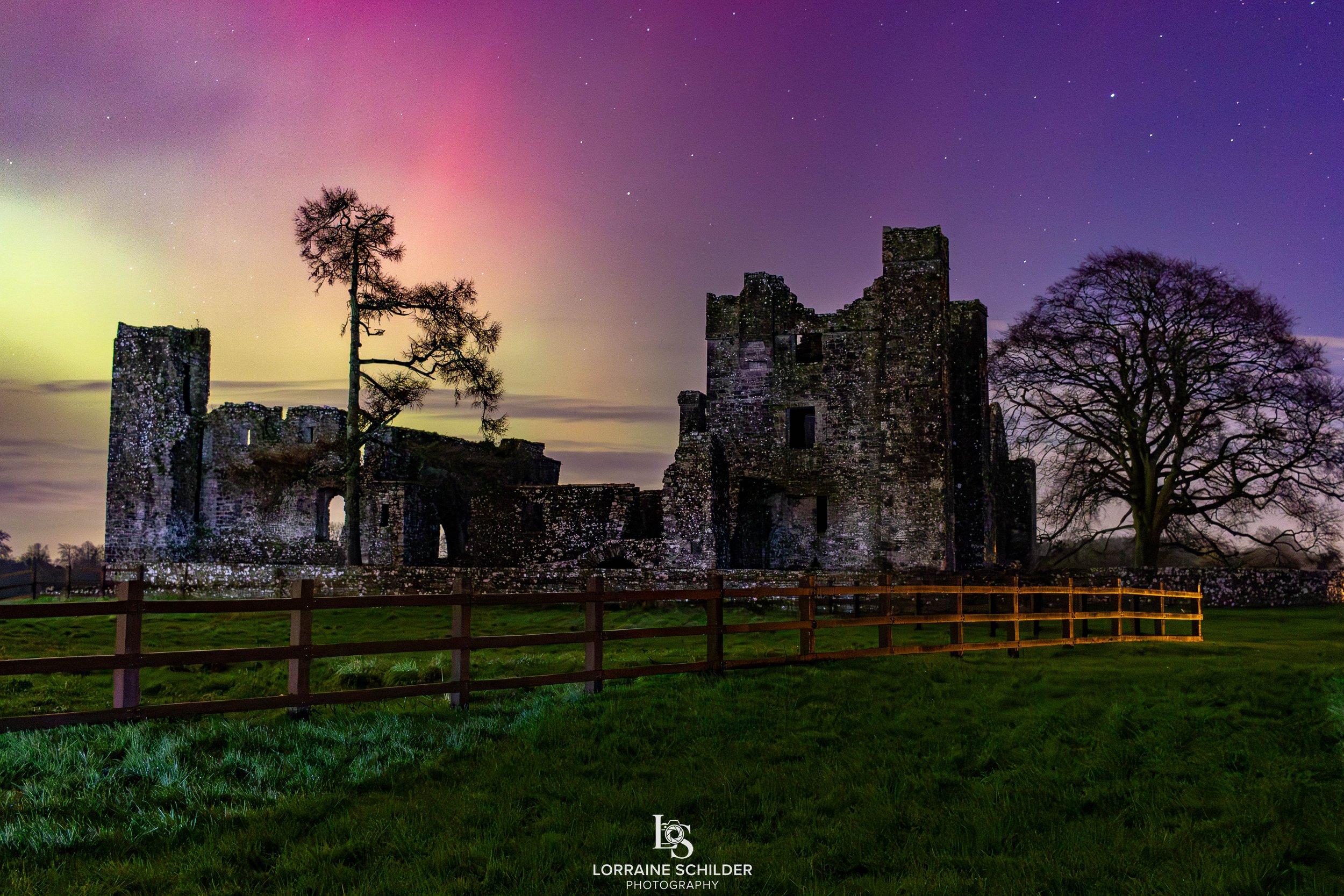 Ruins of an old stone castle with two large trees beside it, set against a colorful evening sky with northern lights and visible stars.