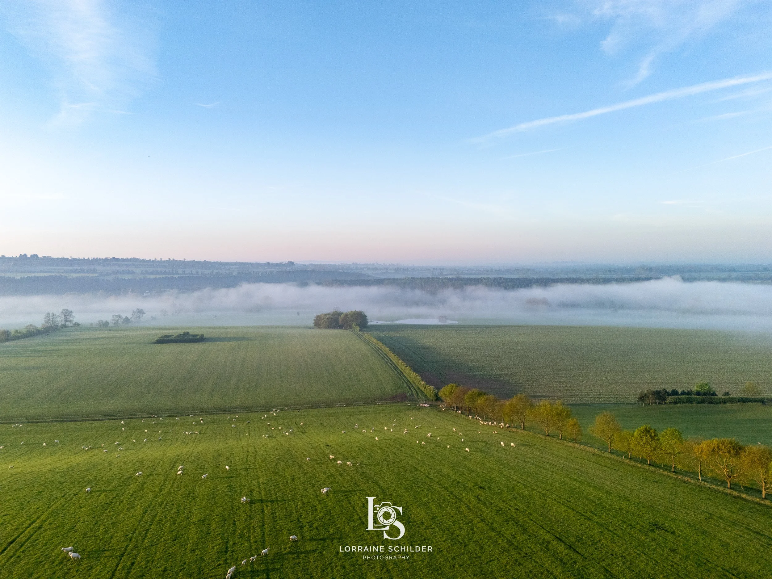 An aerial view of a green countryside with fields, trees, and grazing sheep, a low fog or mist rolling over the landscape, under a blue sky with wispy clouds.  Newgrange, Meath.