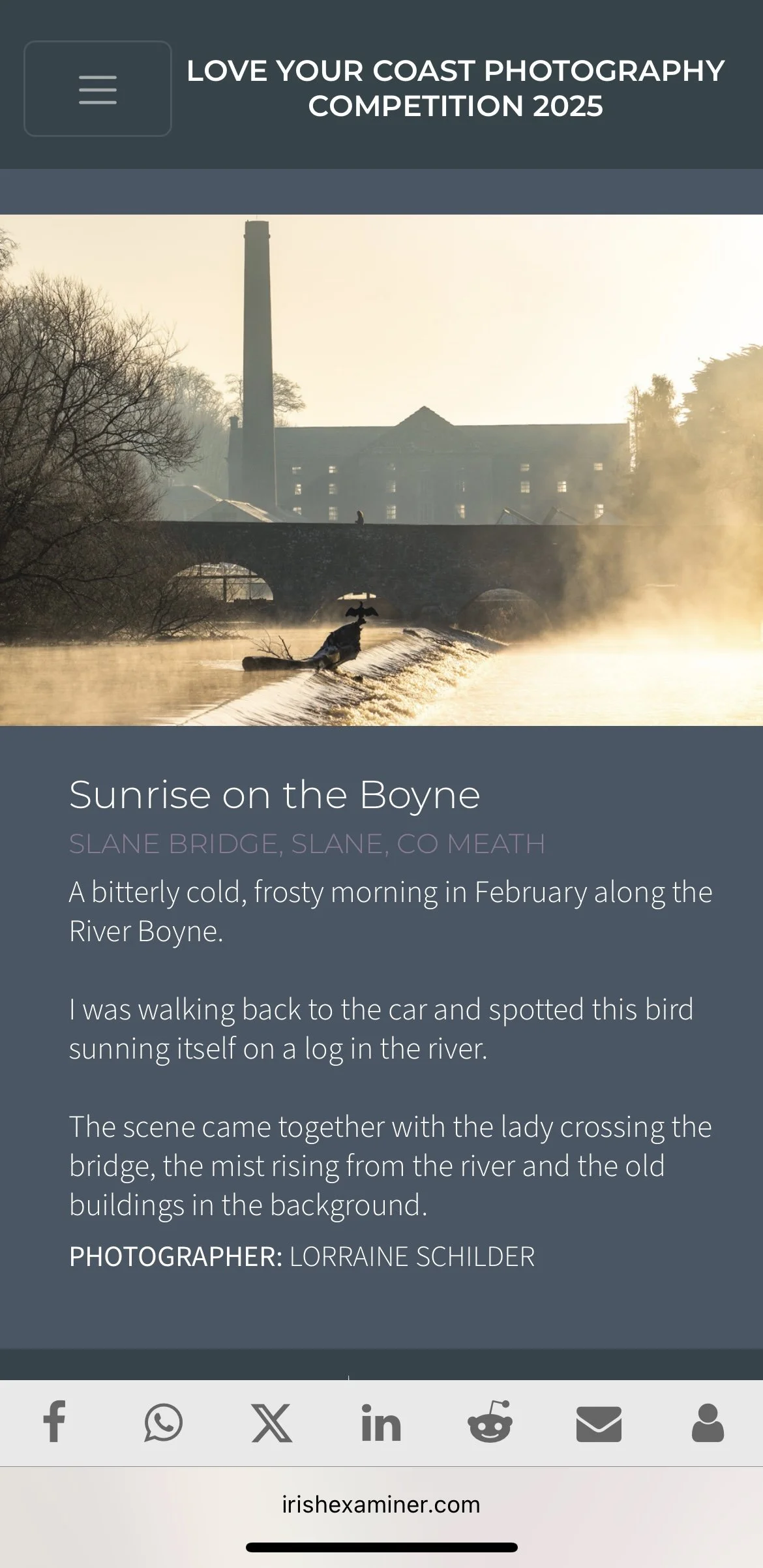 Sunrise over the Boyne River showing a misty, cold February morning with a bird perched on a log in the river. In the background, a bridge, a lady crossing it, a factory chimney, and old buildings are visible.