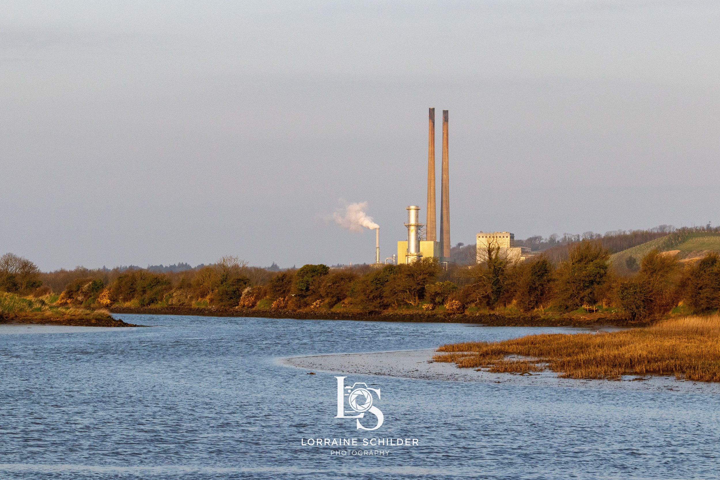 A river flowing past a landscape with trees and shrubs, with a factory in the distance emitting white smoke, and two tall chimneys against a cloudy sky. Wexford.