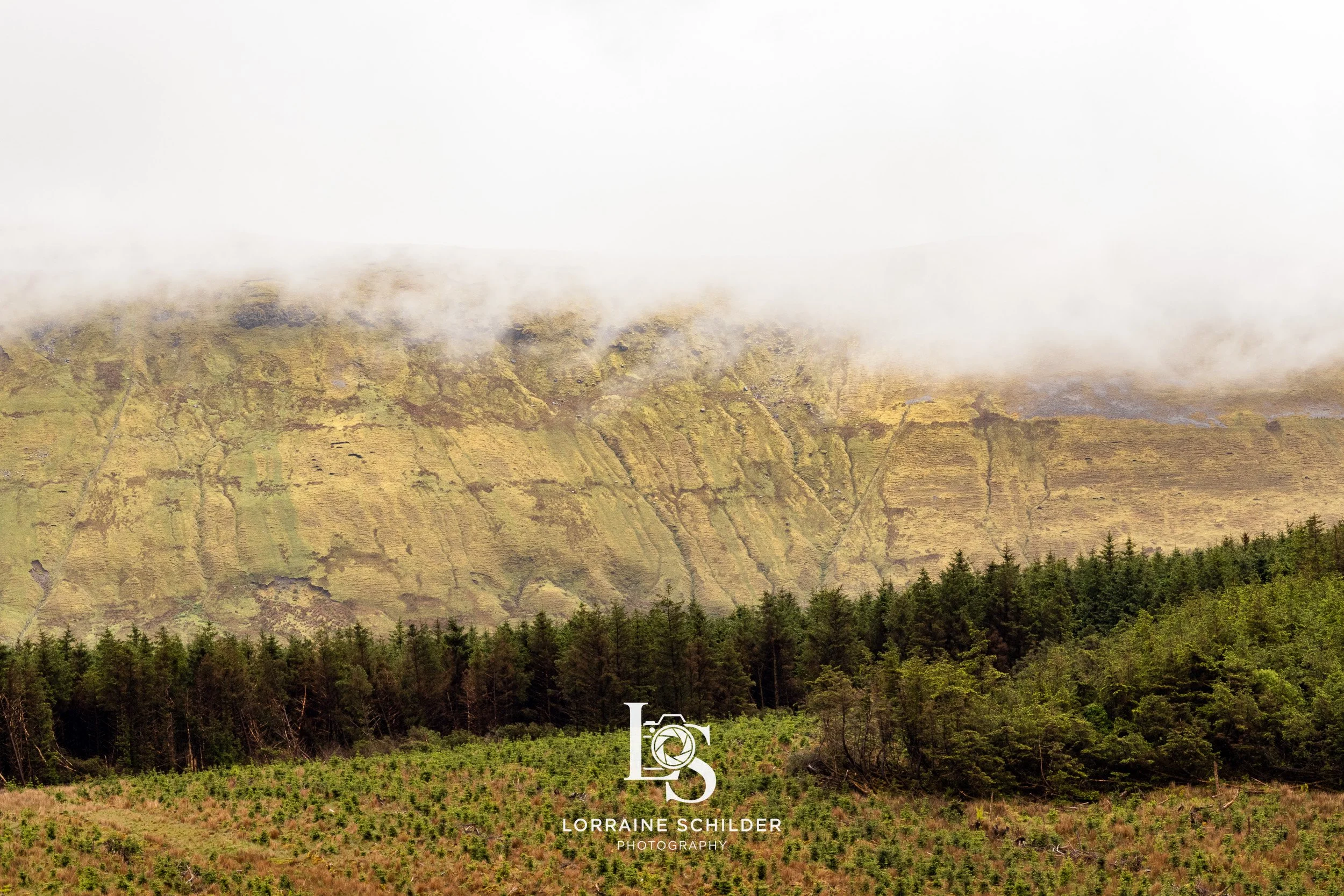 A landscape scene with a forest in the foreground, mountain slopes behind with visible ridges, and clouds or fog partially covering the mountain top. Sligo.