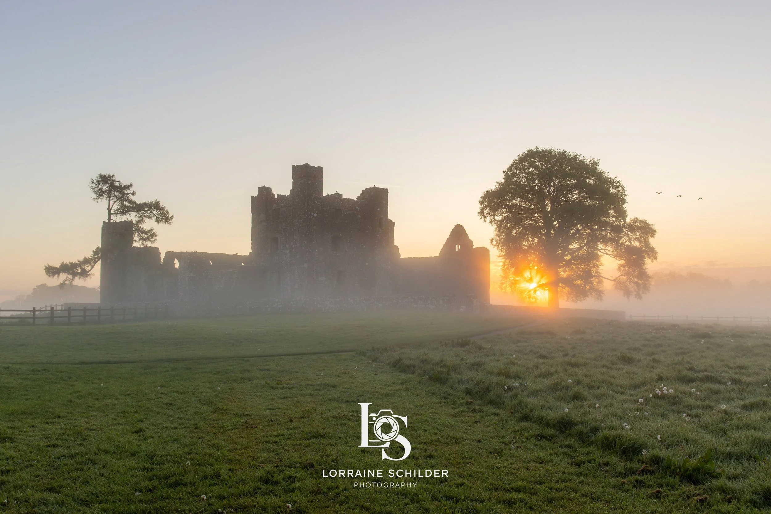 bective sun 1.jpg