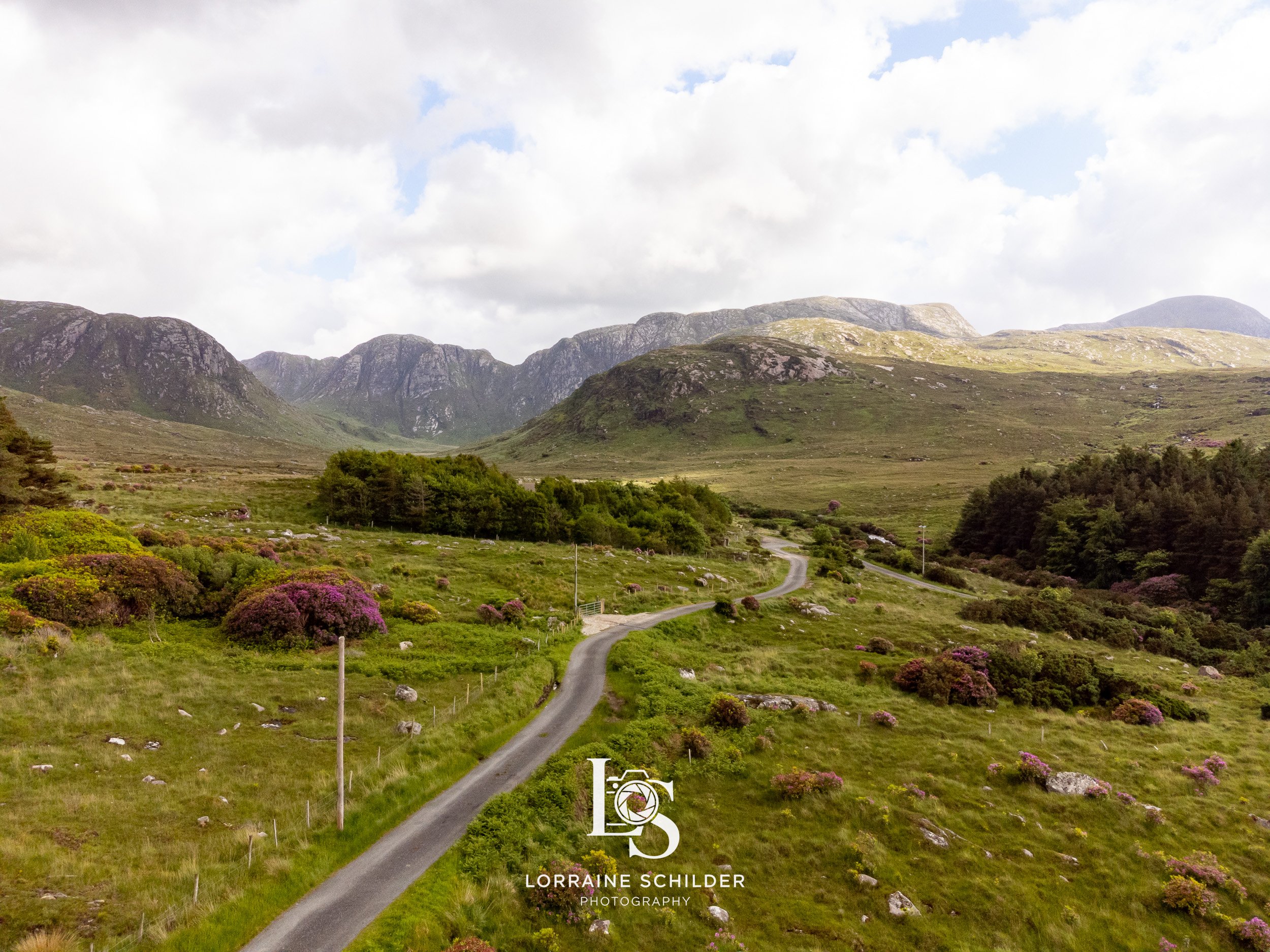 A winding country road through green hills with purple flowering bushes, trees, and mountains in the background under a partly cloudy sky.  Donegal.