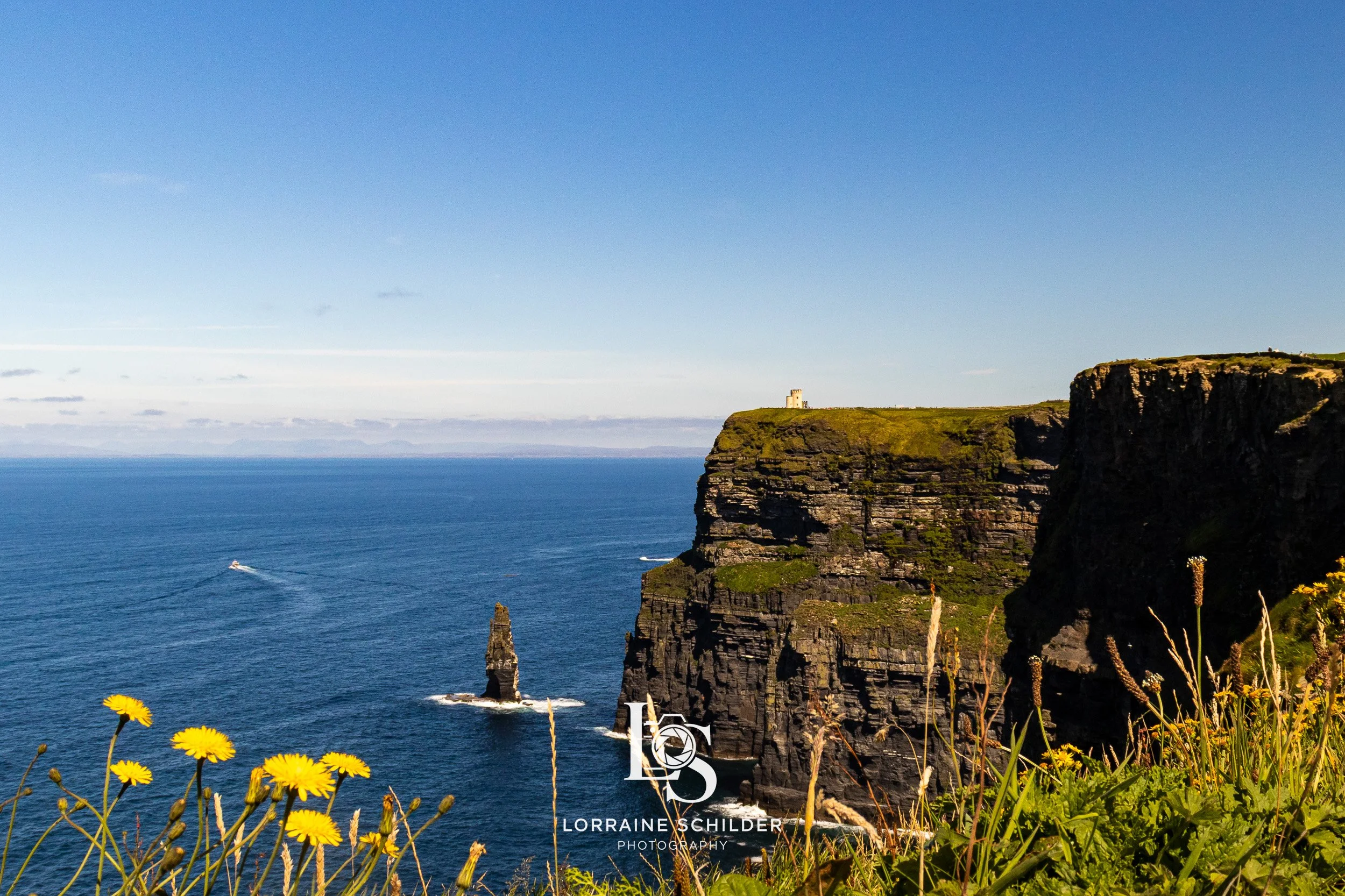 Cliffs overlooking the ocean with a small tower on top and yellow flowers in the foreground.  Cliffs of Moher, Clare.
