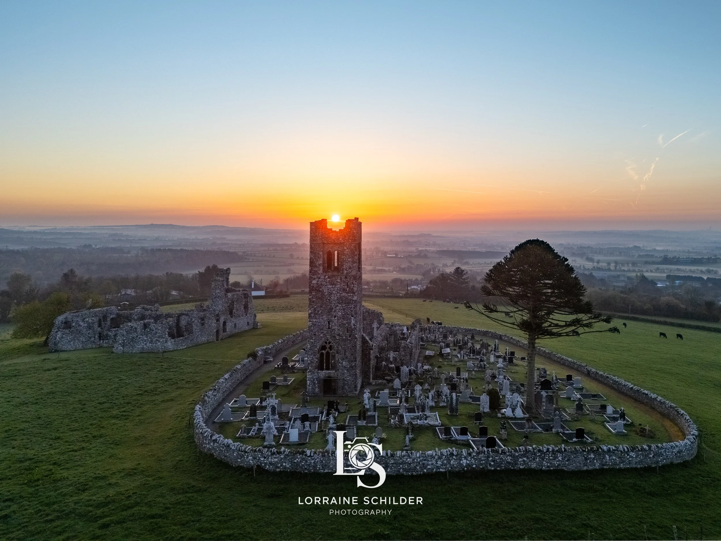 Sunrise over the ruins of an old stone church with a tall tower, surrounded by a graveyard enclosed by a stone wall, with a large tree on the right and rolling hills in the background.  Slane, Meath