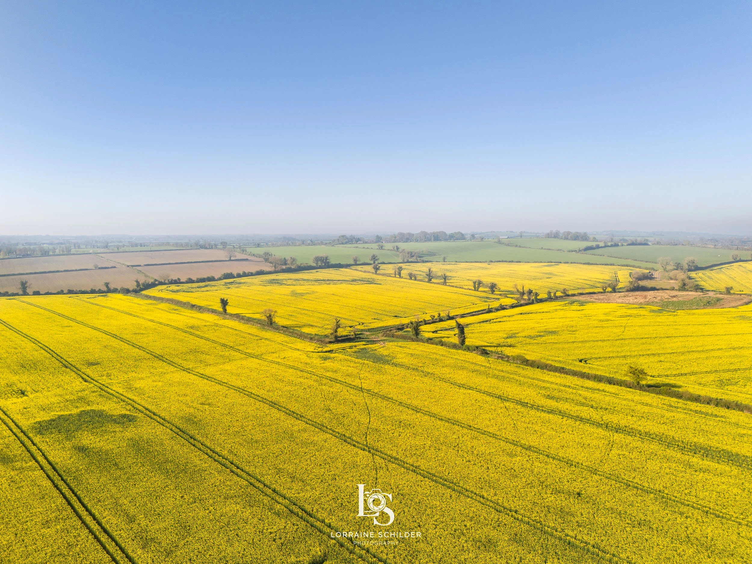 A vast landscape of vibrant yellow flowering fields, with green patches and scattered trees, under a clear blue sky.  Slane, Meath