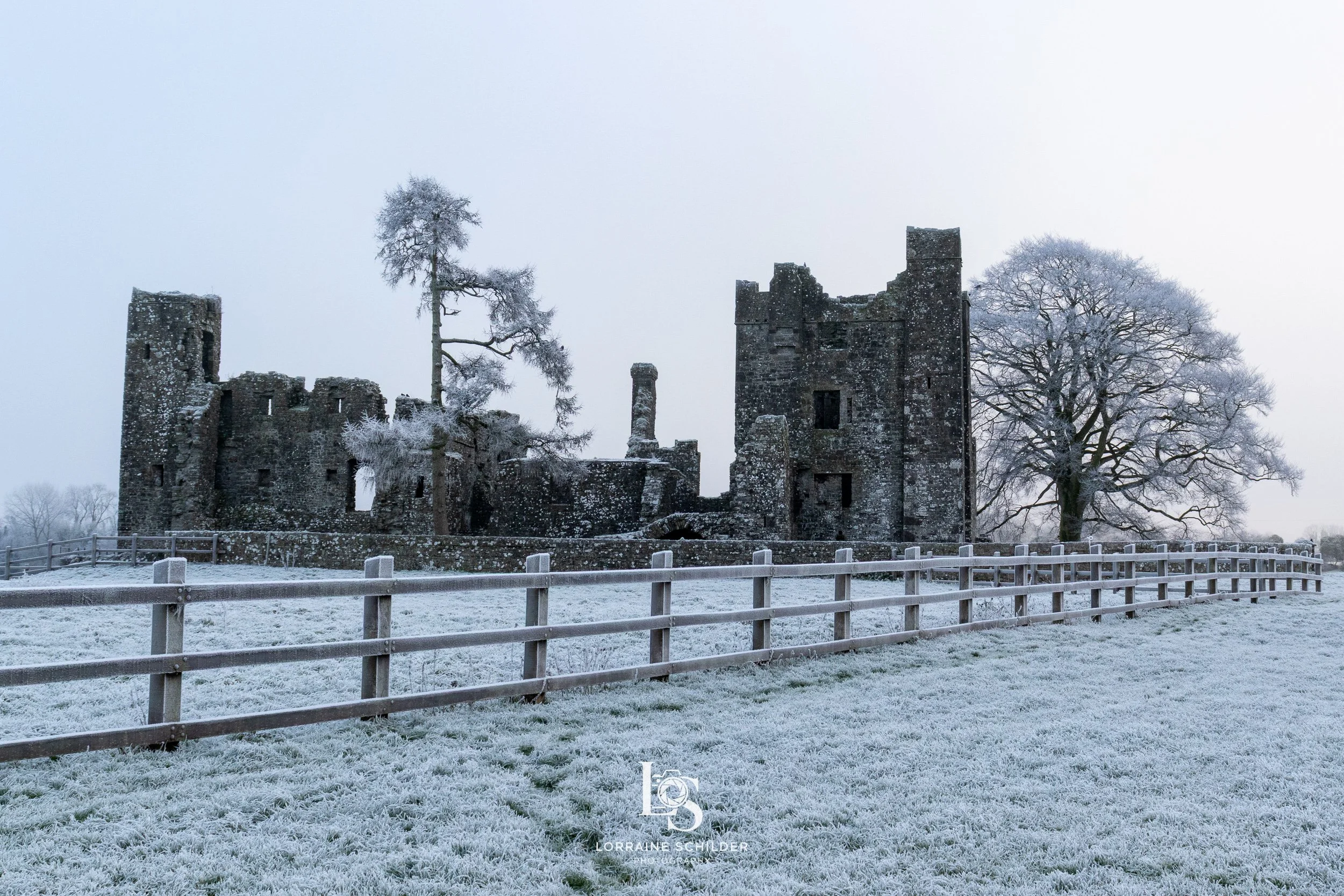 Snow-covered castle ruins with barren trees and a wooden fence in the foreground, overcast sky.