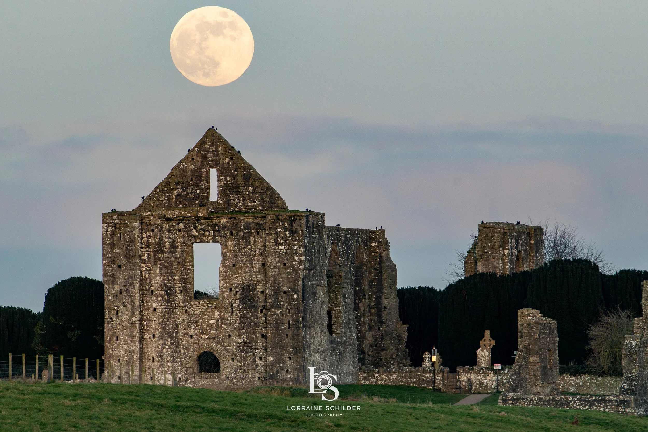 Ruins of  Newtown under a full moon with cloudy sky, grass in the foreground, and trees in the background. Trim, Meath.