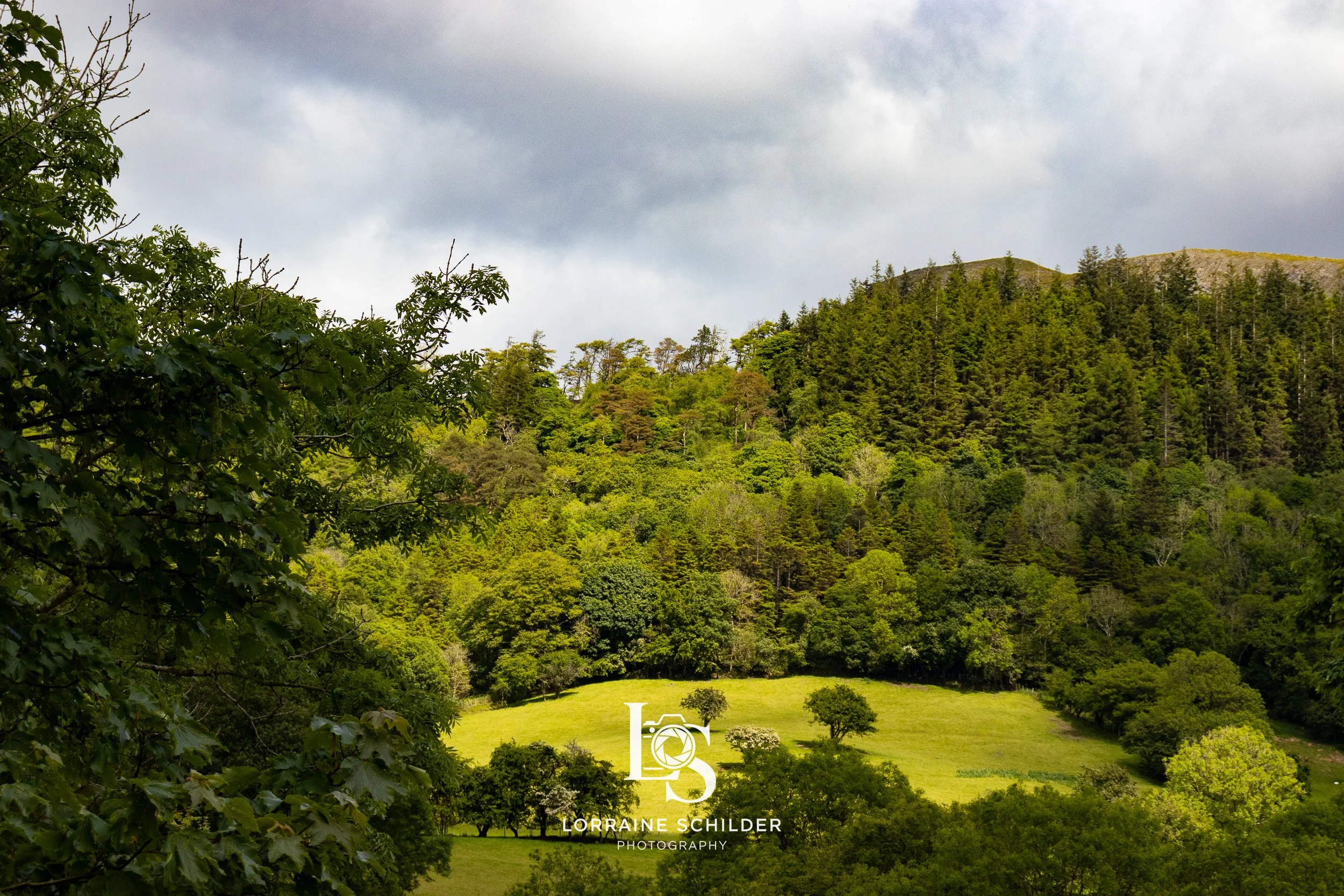 Green hillside with various trees and shrubs under a cloudy sky. Leitrim.