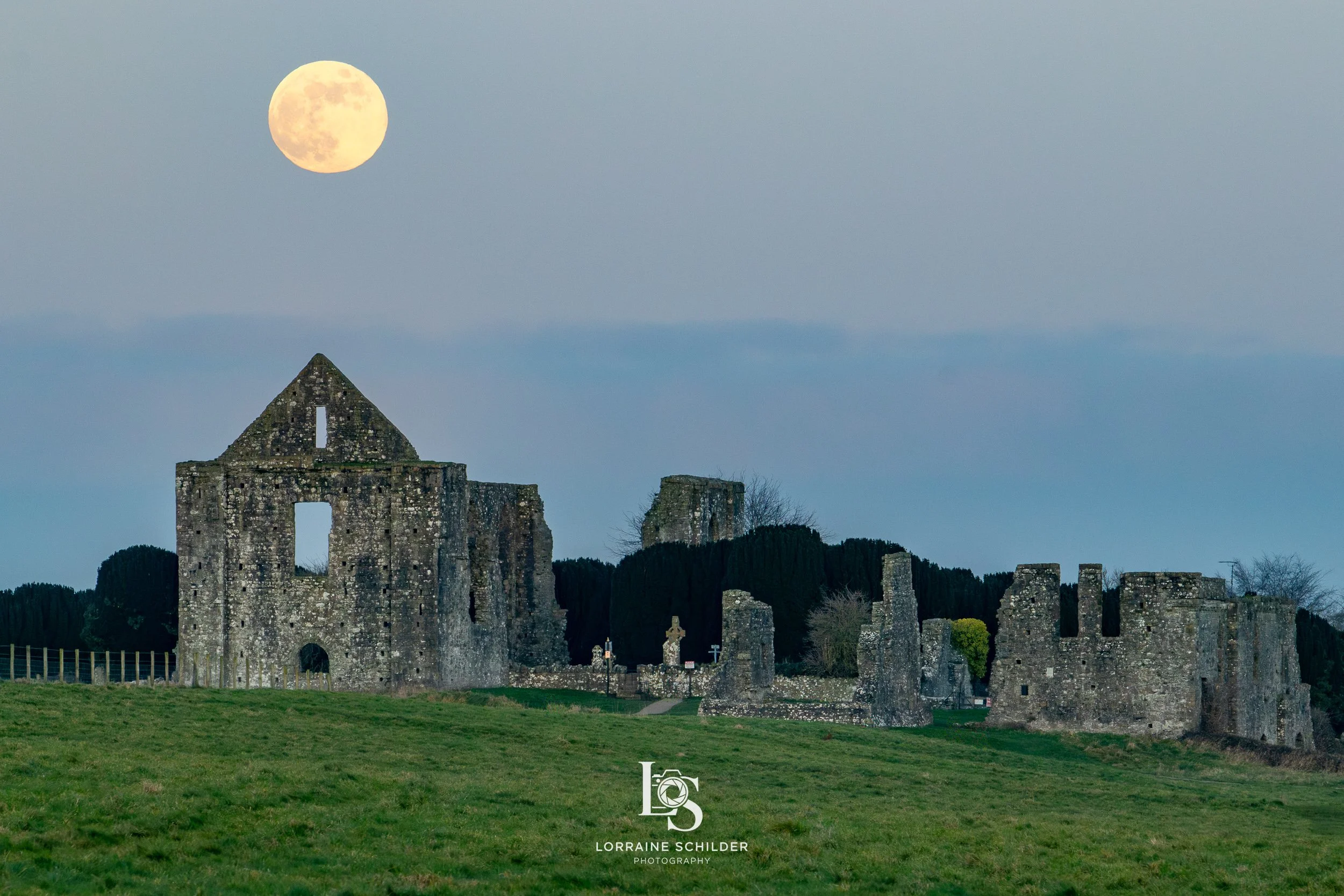 Ruins of Newtown with a full moon in the night sky above, green field in the foreground, and dark trees in the background. Trim, Meath.
