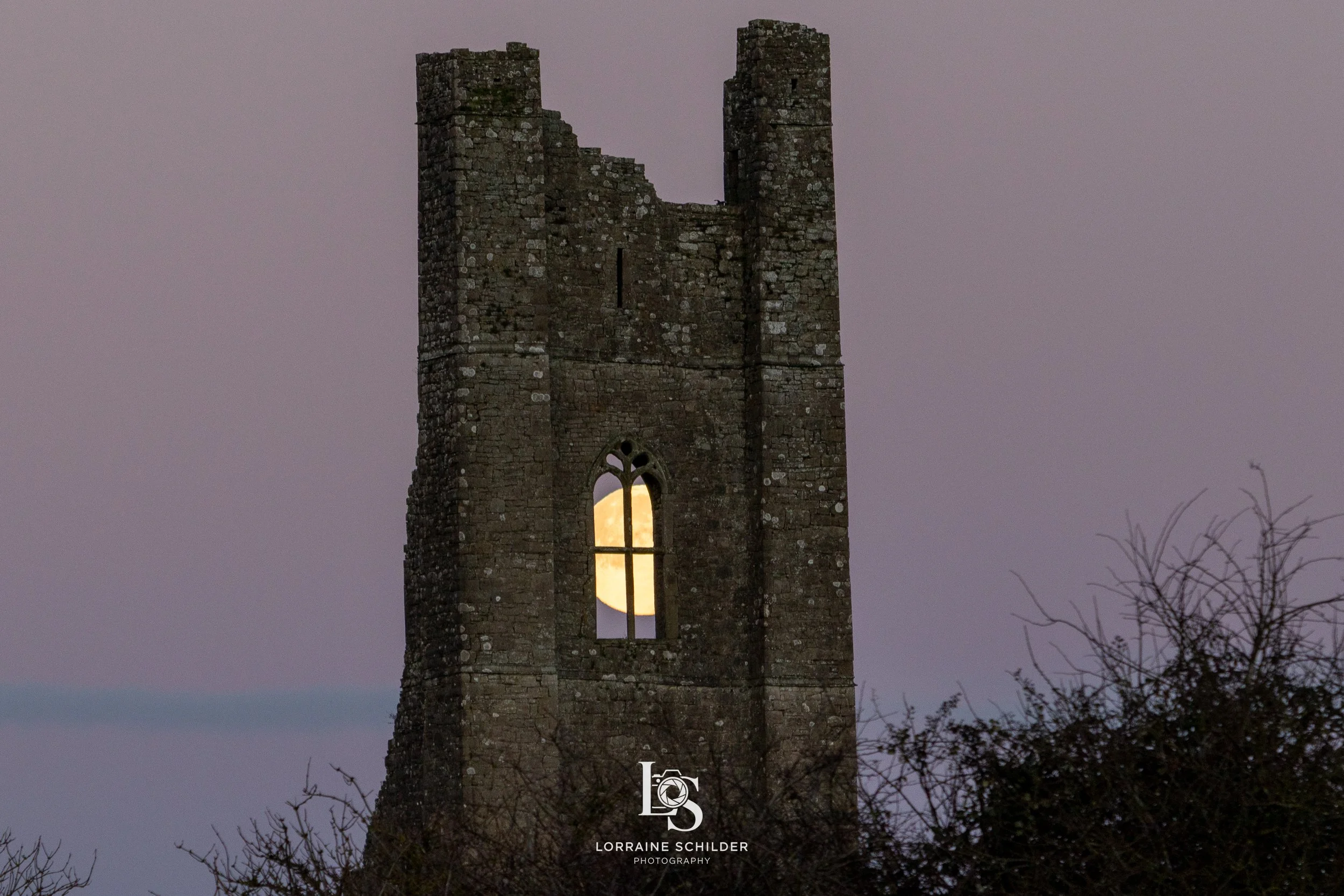 Ancient  Yellow Steeple with a large window through which the full moon is visible, surrounded by bare trees, during dawn. Trim, Meath.