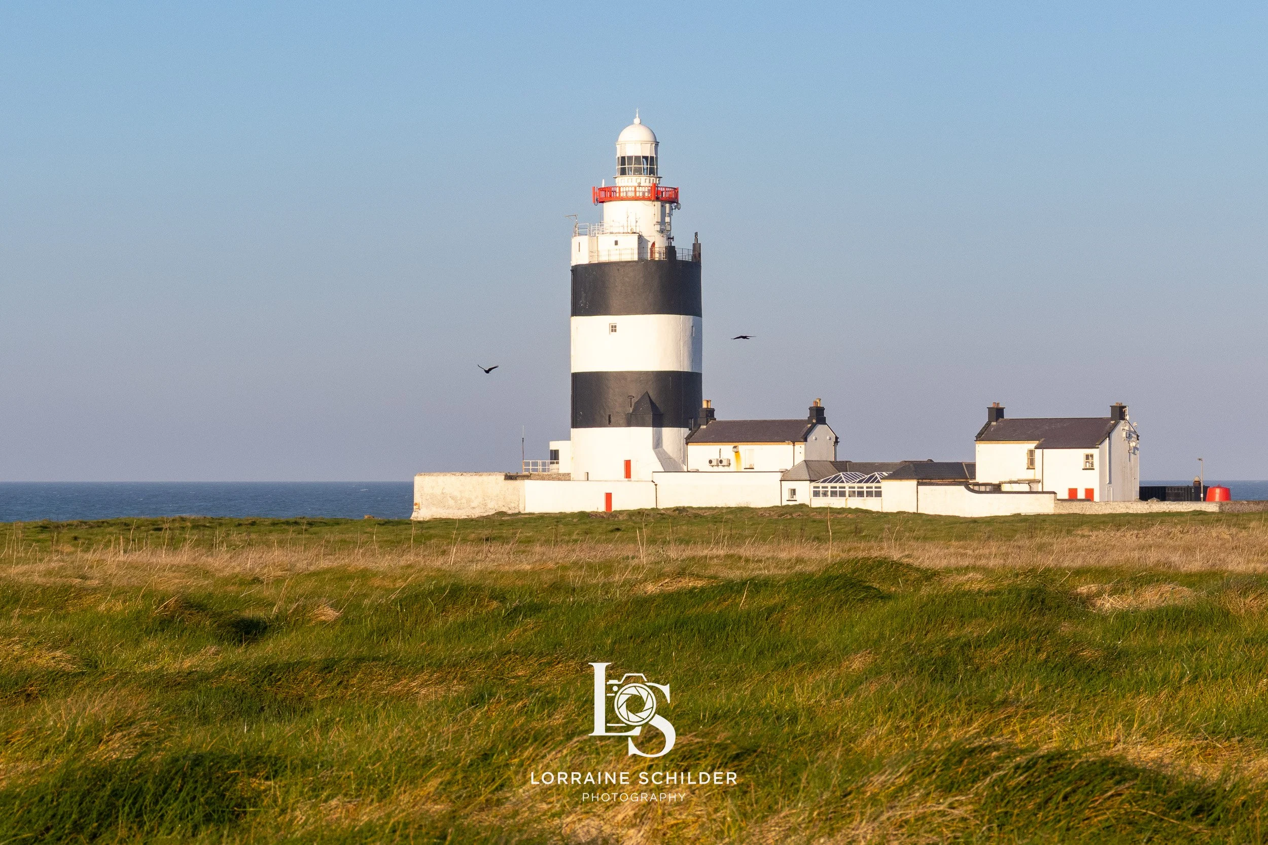 A black and white striped lighthouse standing on a grassy landscape near the ocean with a few birds flying nearby. Wexford.