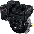 bgsn19n132-0055-f1.jpg