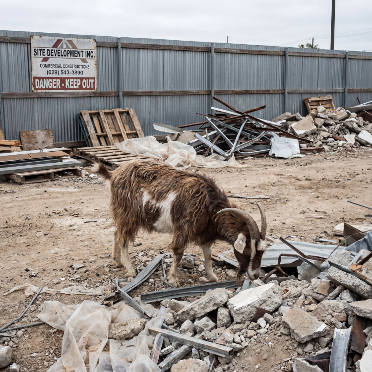 Commercial Debris Removal in Central Texas