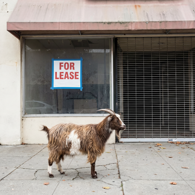 Retail Store Cleanout & Junk Removal Services