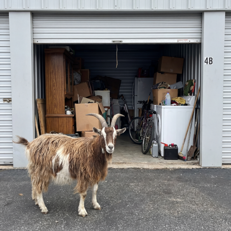 Storage Unit Cleanout Services