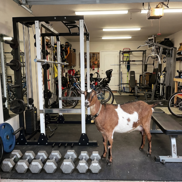 Exercise Equipment Removal Services