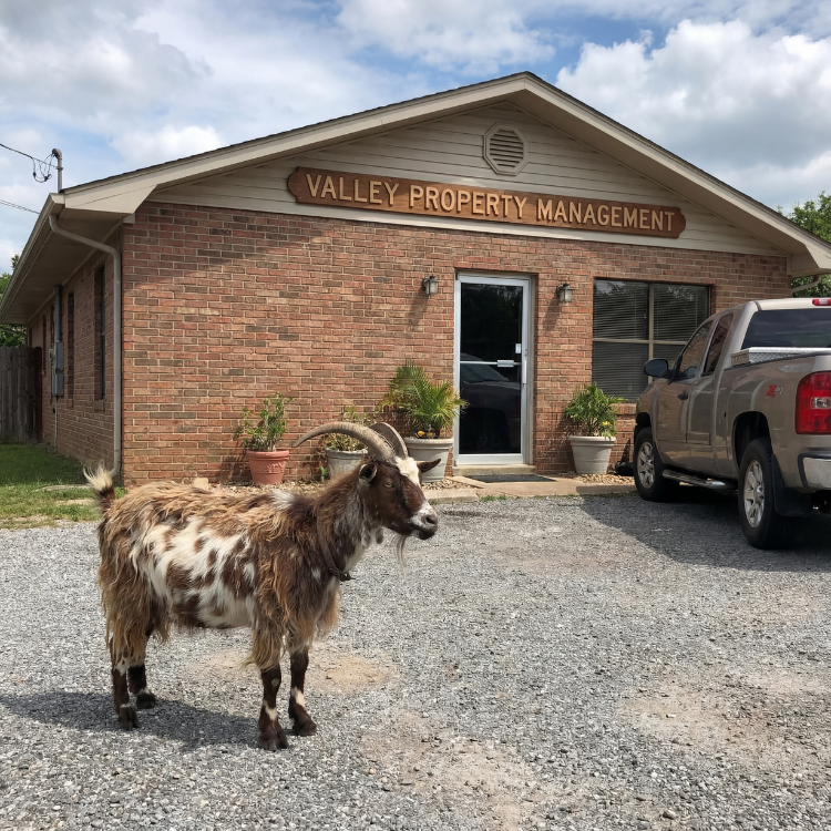 Property Management Cleanout Services