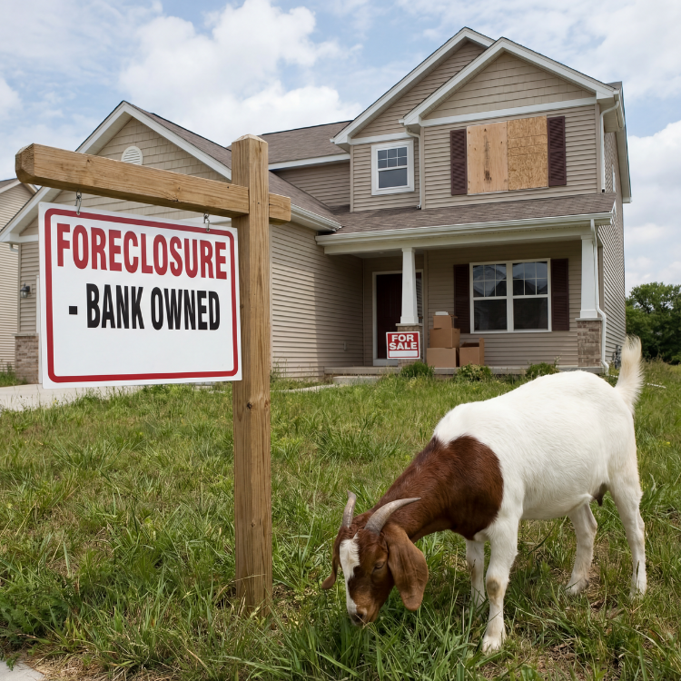 Foreclosure Cleanout Services for Banks & Investors
