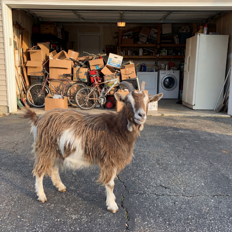 Garage Cleanout Services in Central Texas