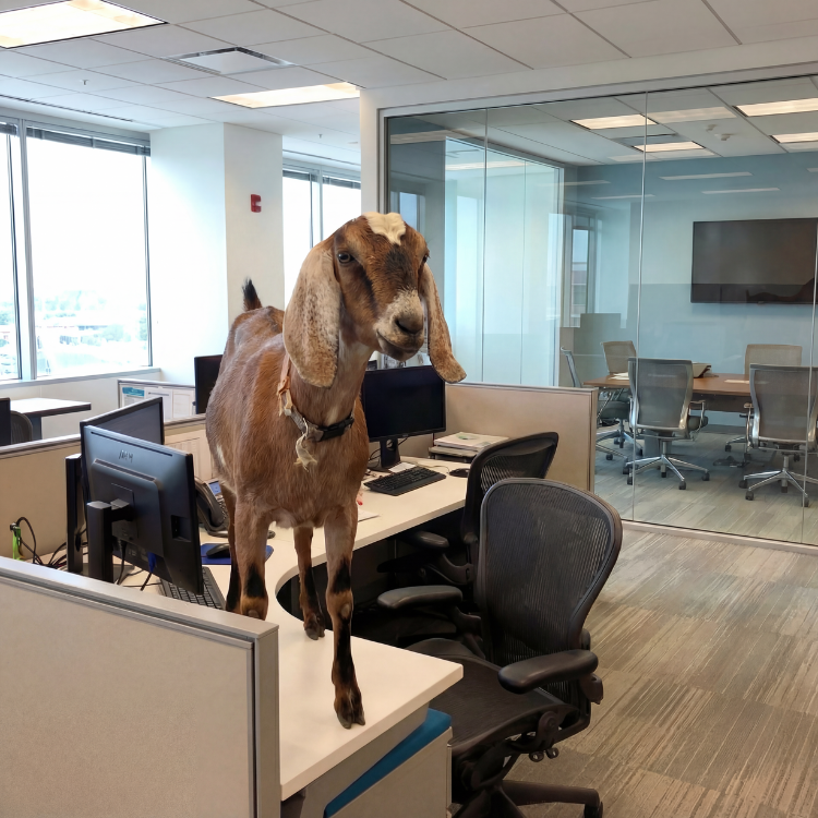 Office Furniture Removal & Workspace Clearouts