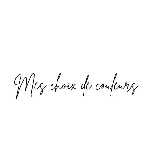 texte : "mes choix de couleurs"