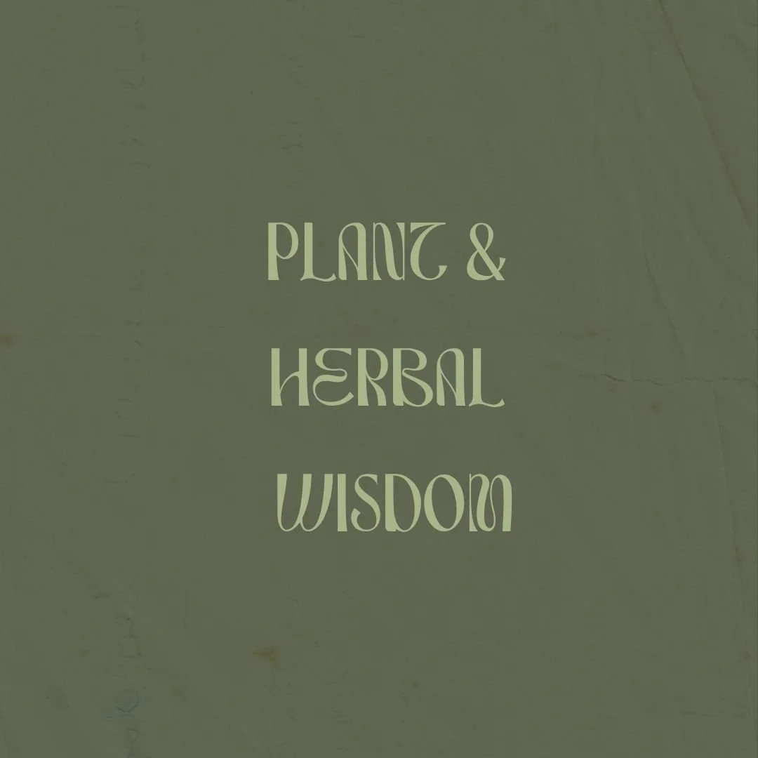 Text on a green background that reads 'Plant & Herbal Wisdom'.