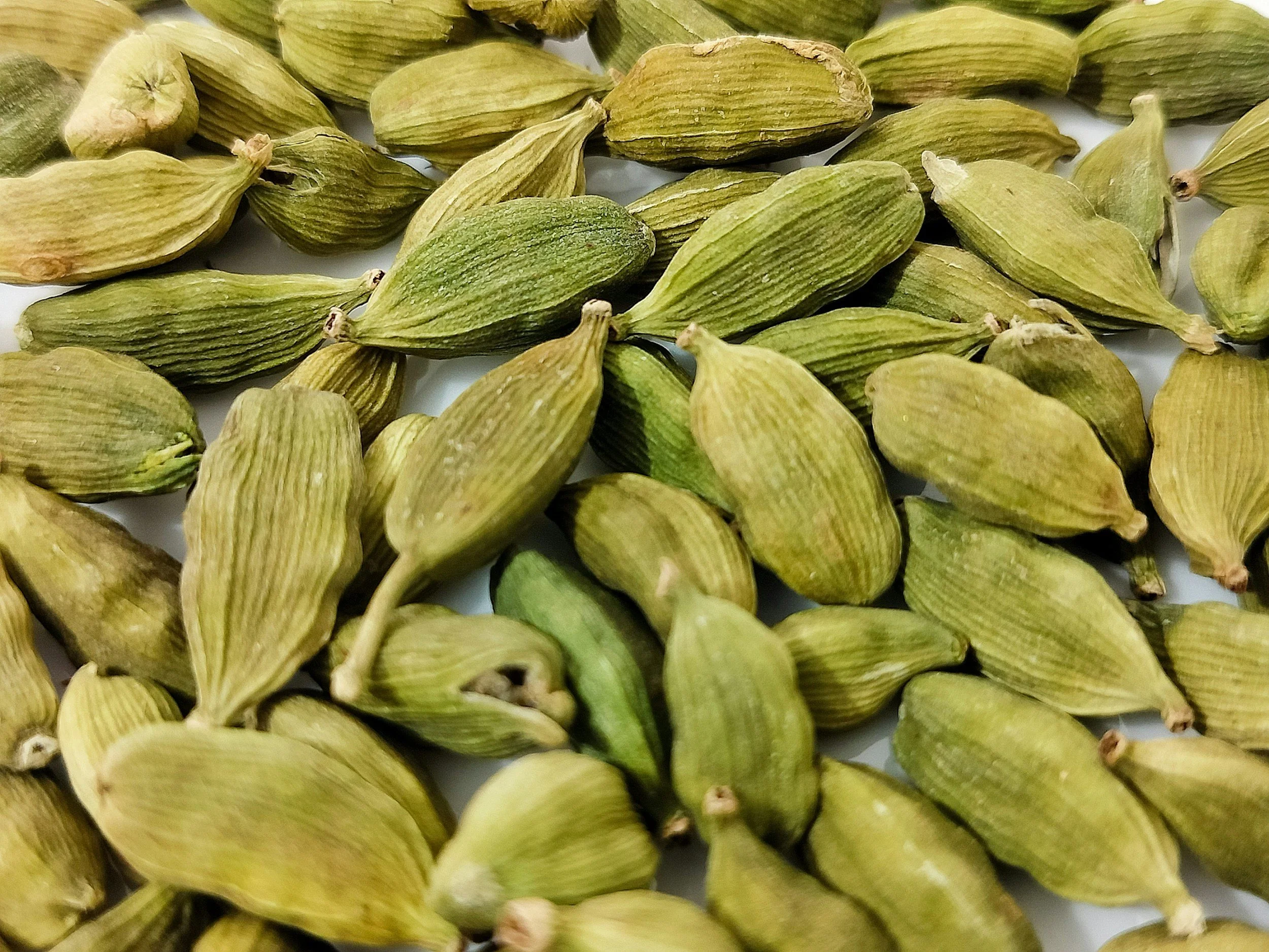 cardamom