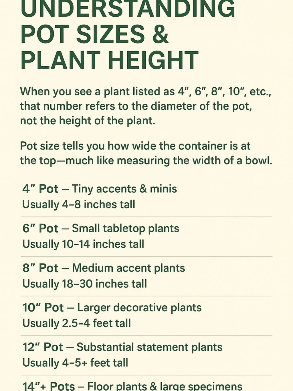 A guide explaining pot sizes and plant heights, including descriptions for 4-inch, 6-inch, 8-inch, 10-inch, 12-inch, and 14-inch pots and the typical heights of plants suitable for each.