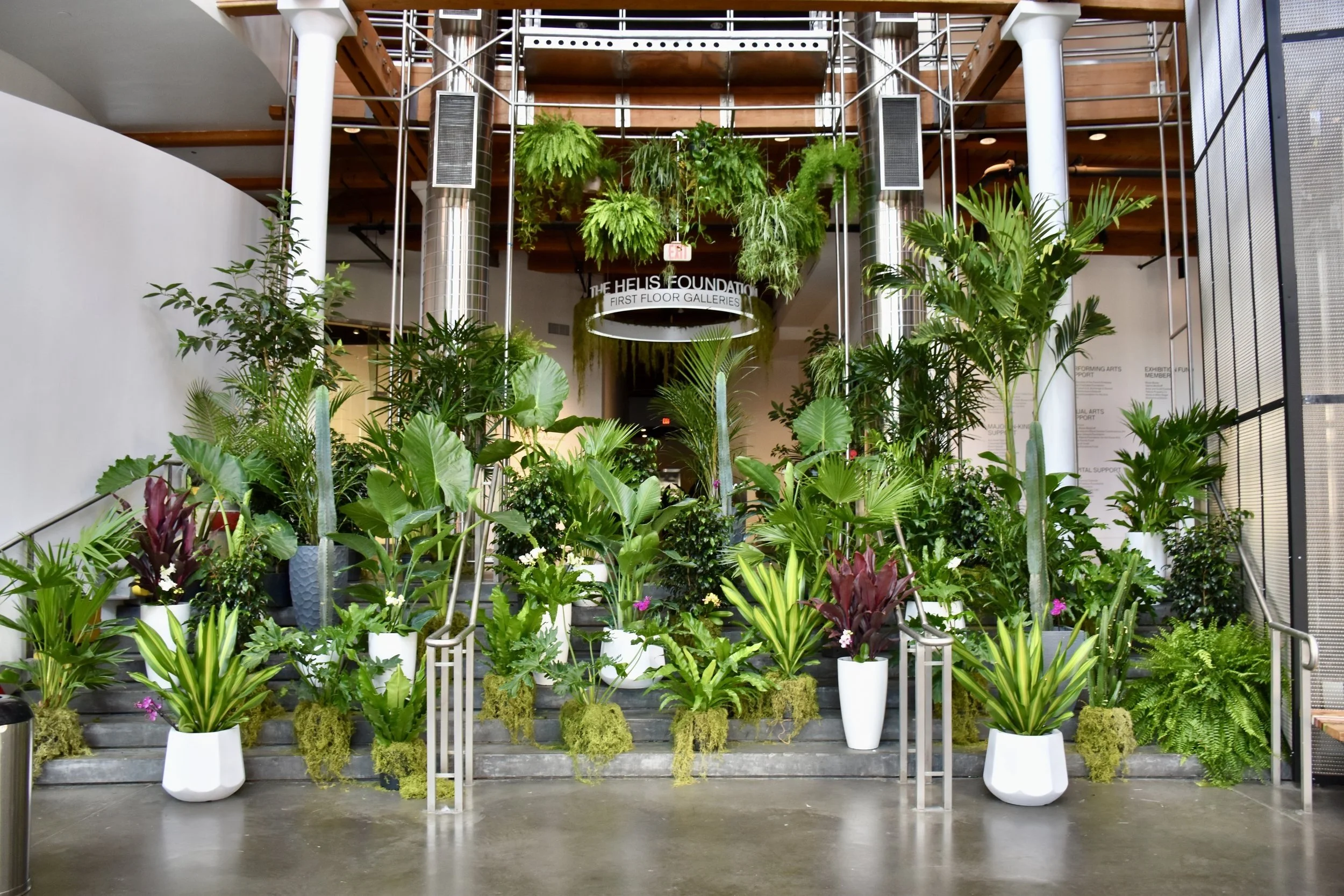 Corporate Plant Rentals & Convention Services.