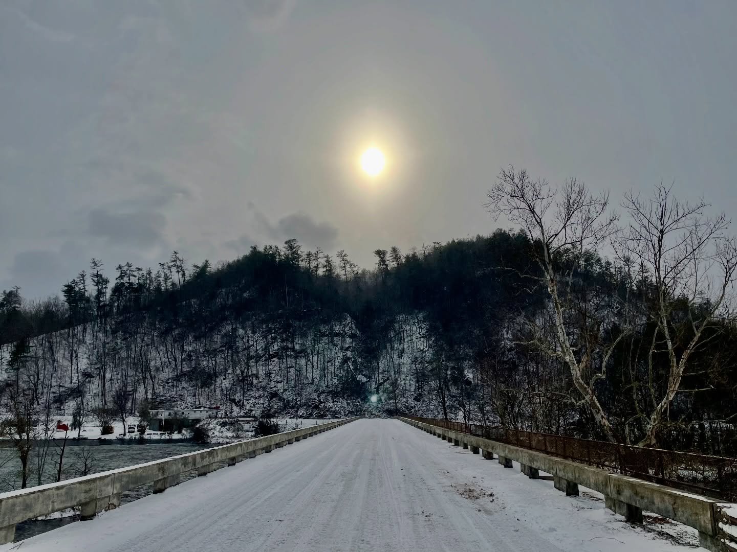 Sometimes, you gotta risk it for the biscuit ❄️ 

#snowday #tennessee