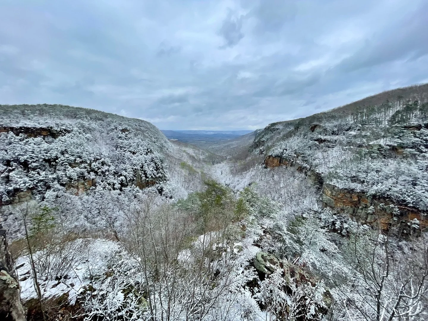 Snow-nado 2026 ❄️🌪️🍀