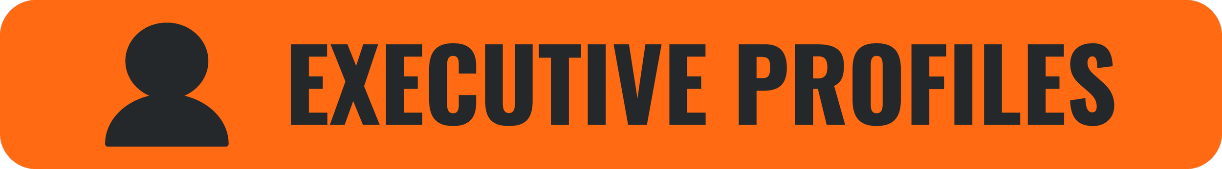 Executive Profiles