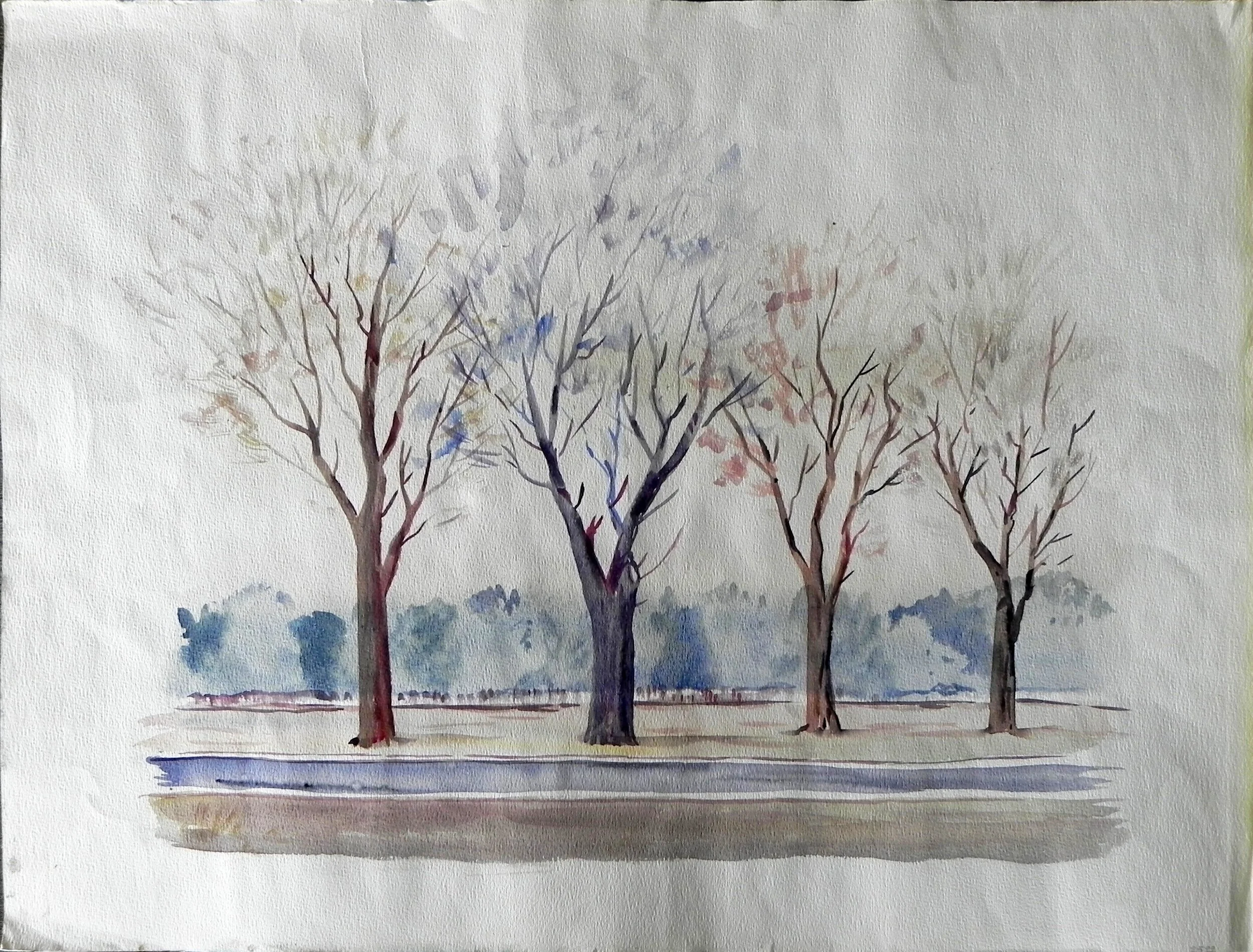 “Trees” Watercolor. 19 x 23 ¾”

