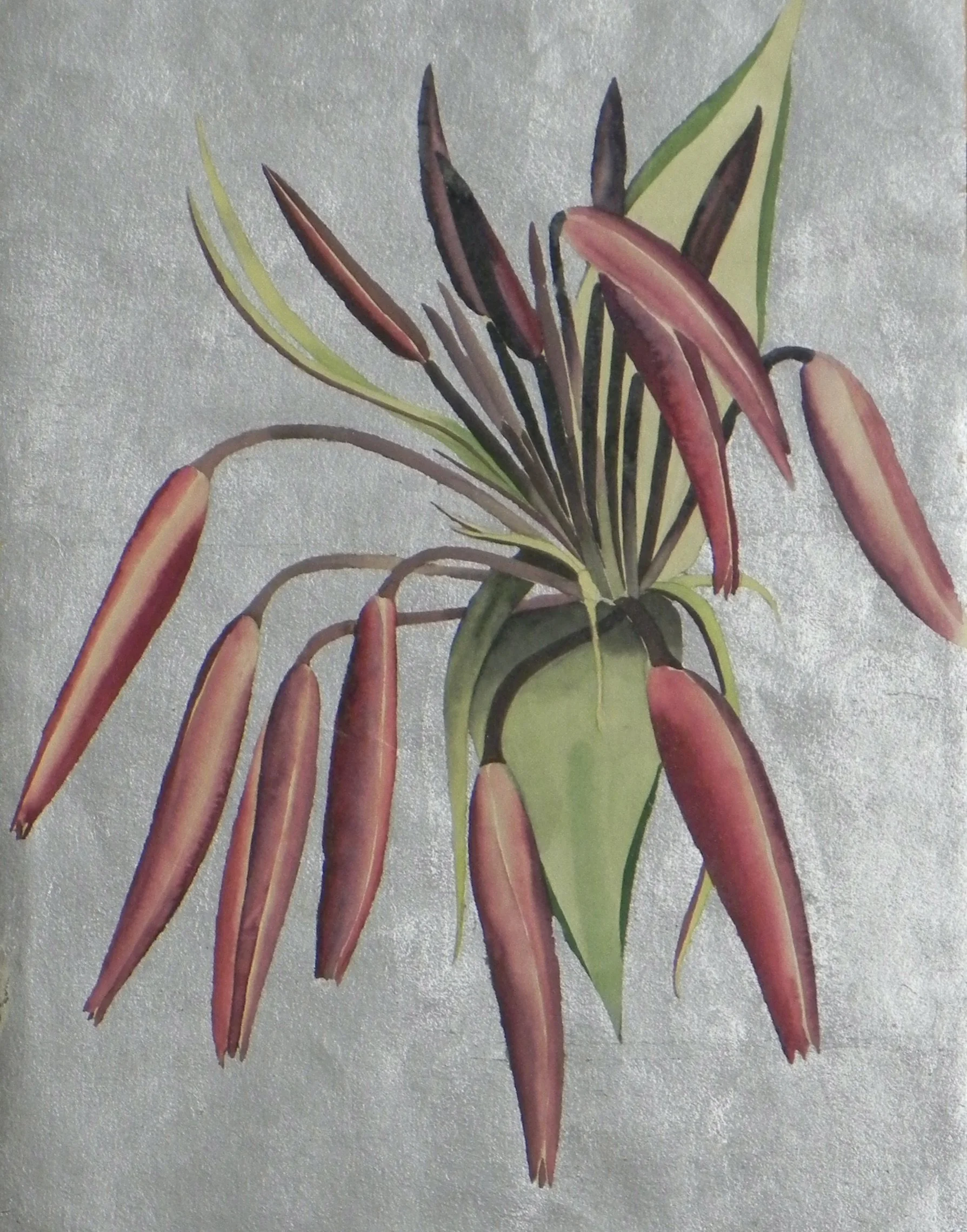 Untitled floral. 12 x 9”